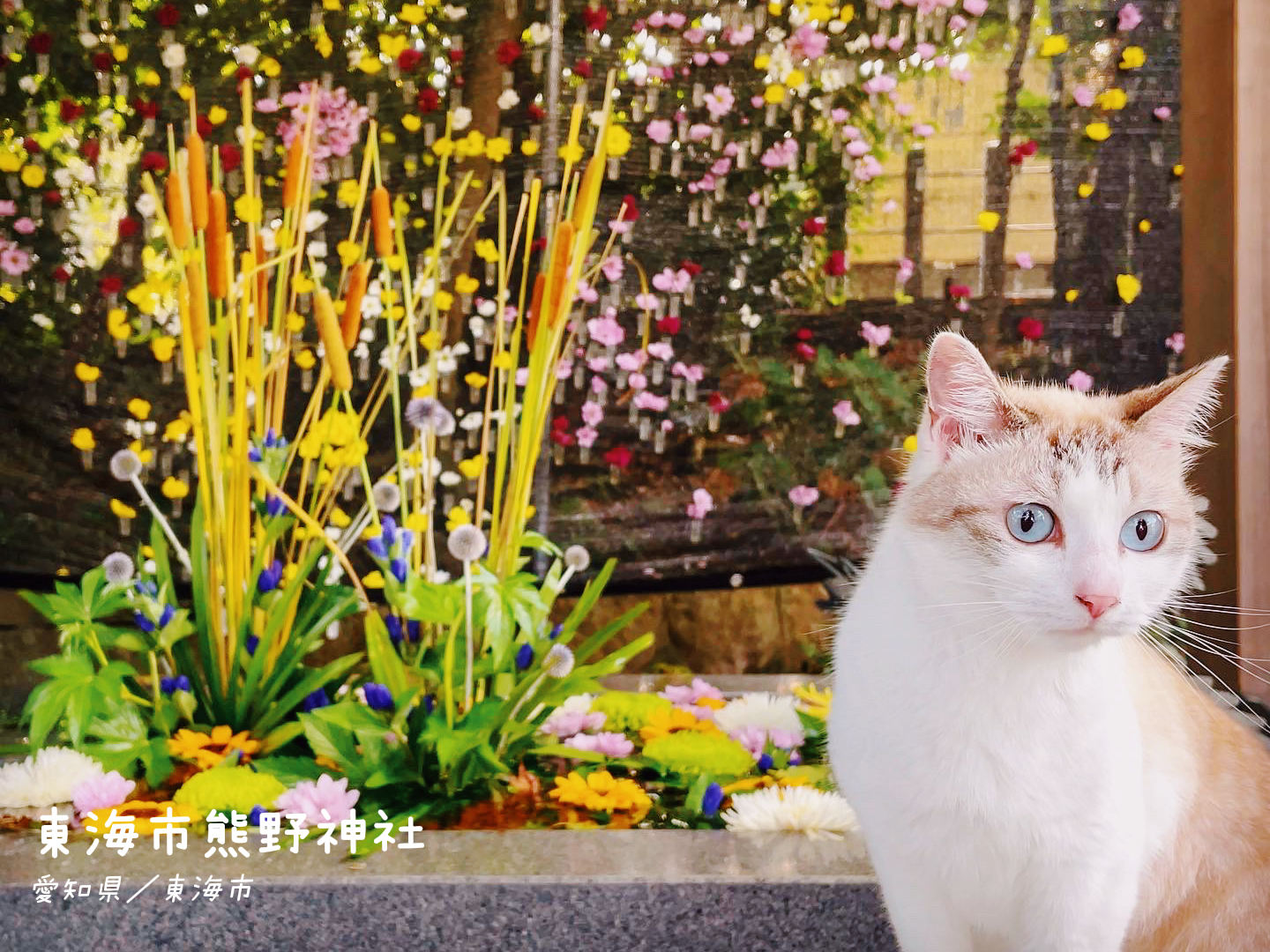 花で作られた 花 火が素晴らしいのです Monalienが投稿したフォトブック Lemon8