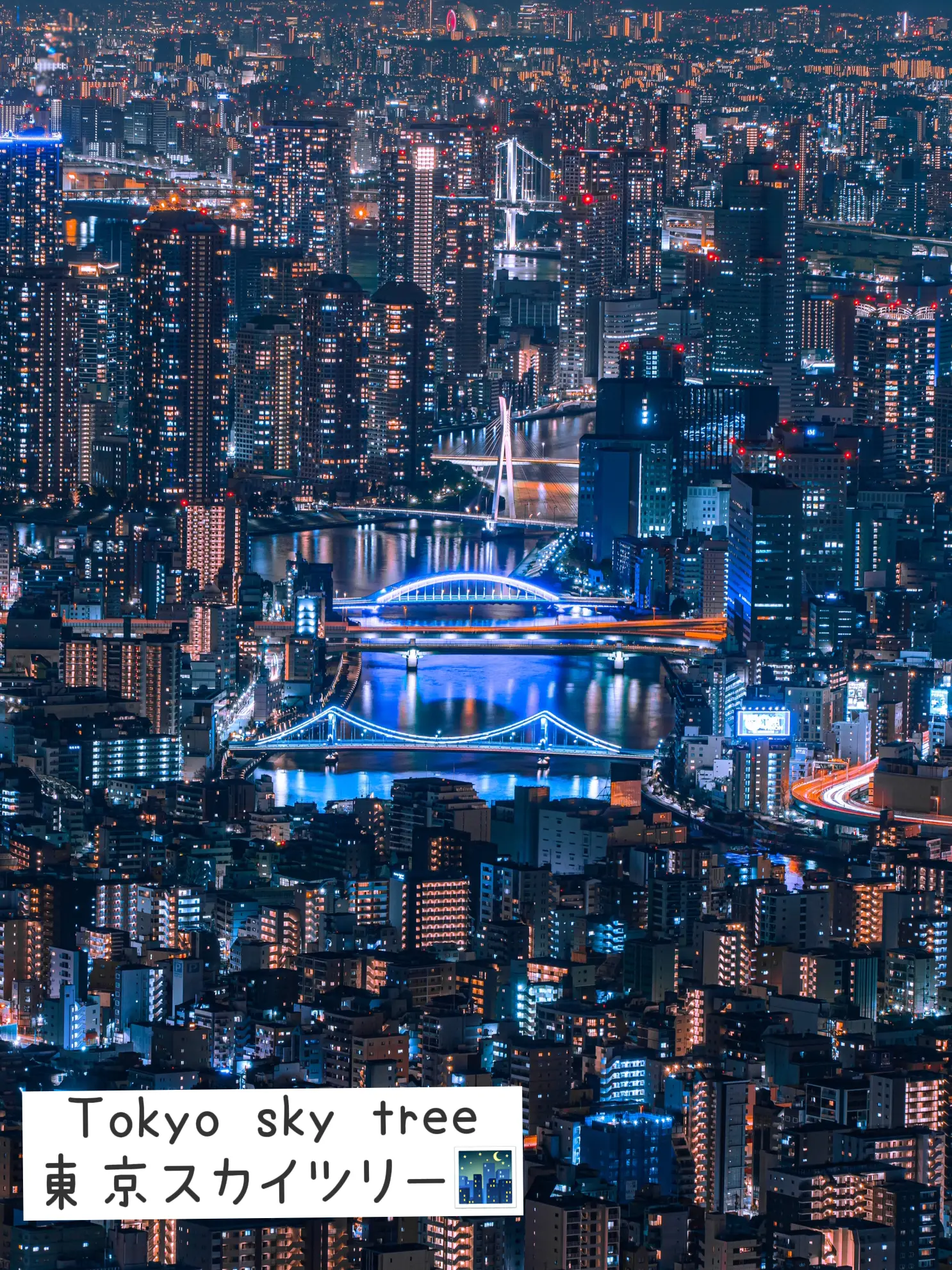 『スカイツリーからの夜景』日本一高い展望台🌃✨の画像 (1枚目)