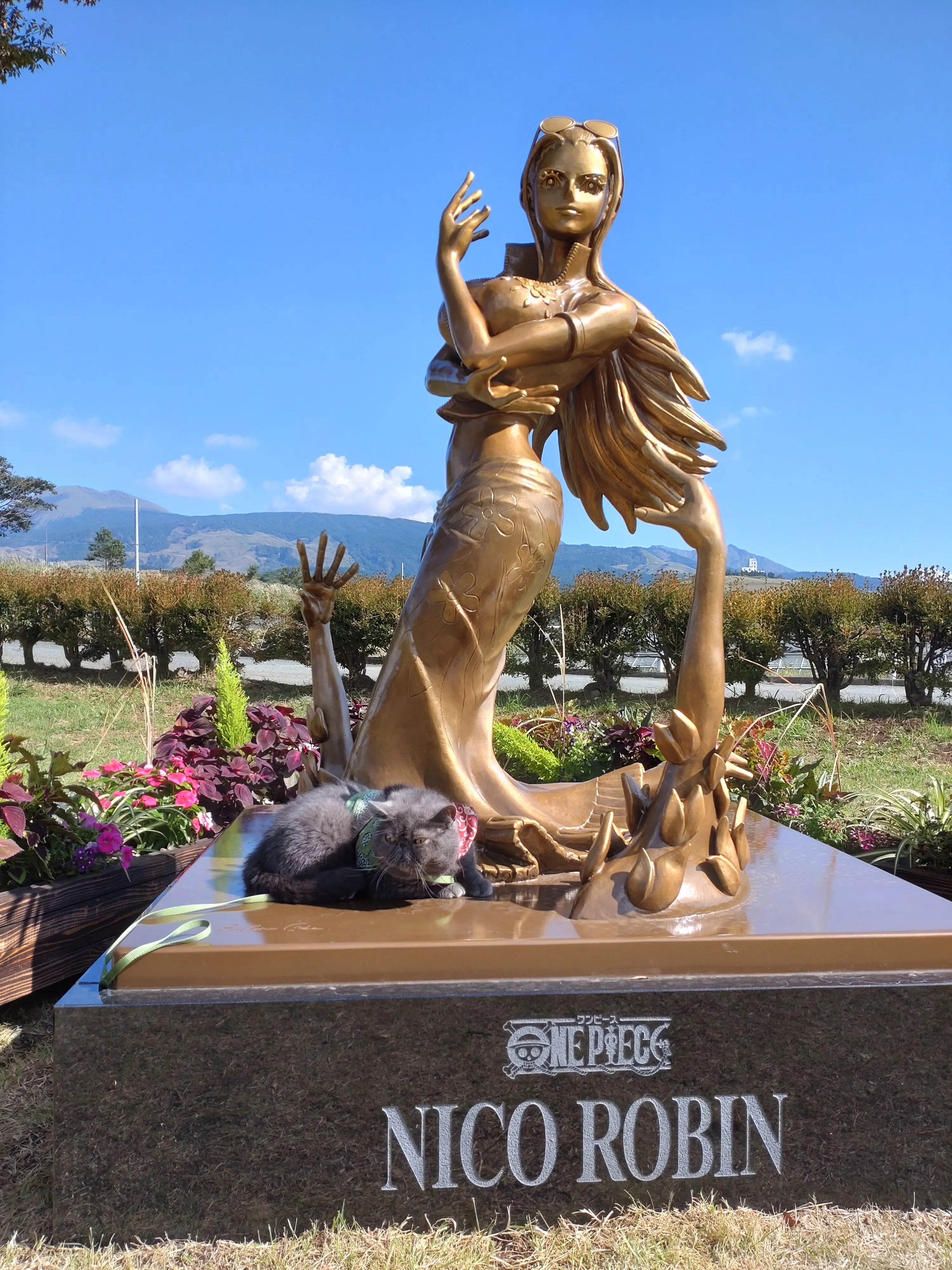 ニコ ロビンとねむお 仲矢正子が投稿したフォトブック Lemon8