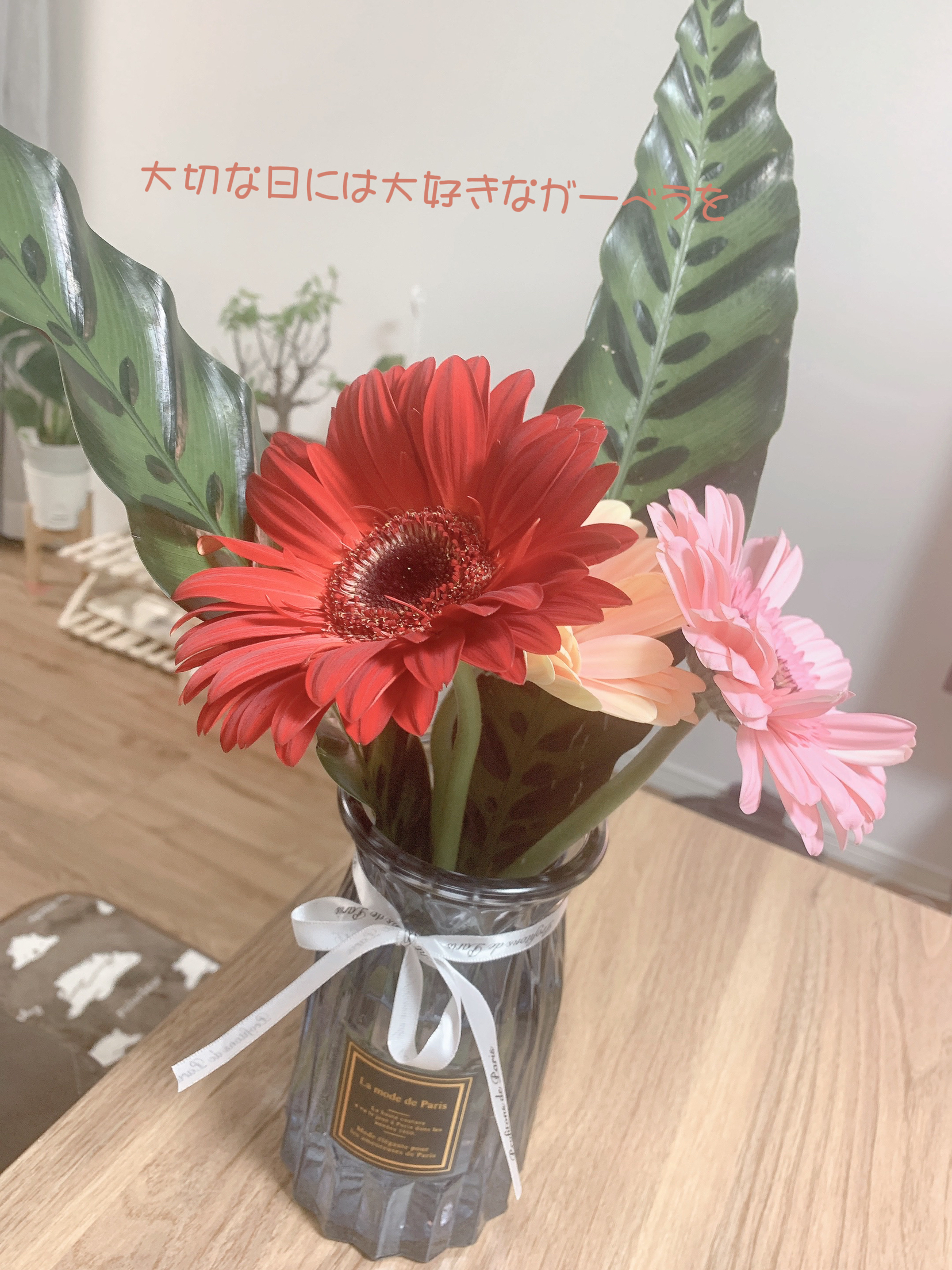 大切な日は大好きなガーベラを飾ります Kirr が投稿したフォトブック Lemon8