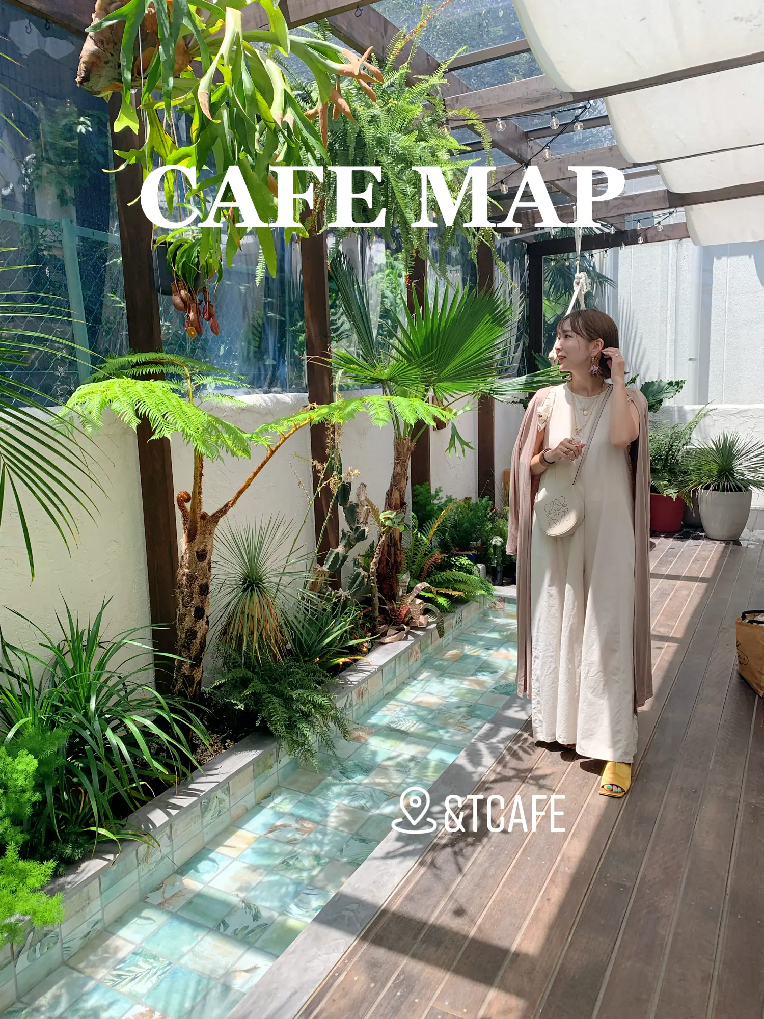 表参道 ドッグカフェ Tcafe Lemon8