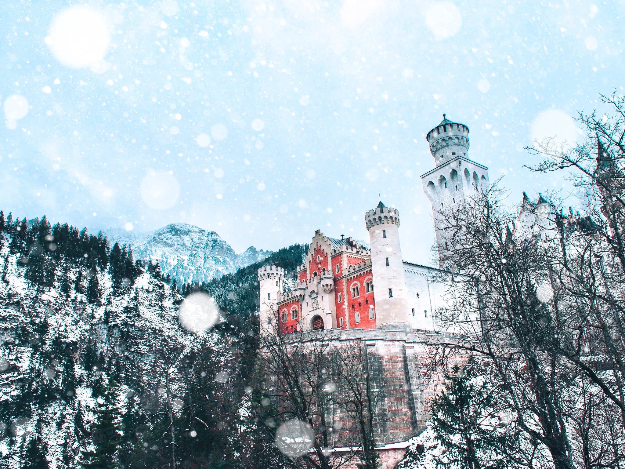 ドイツ ディズニーランドのシンデレラ城がモデル のあの城 Miki Travelerが投稿したフォトブック Sharee
