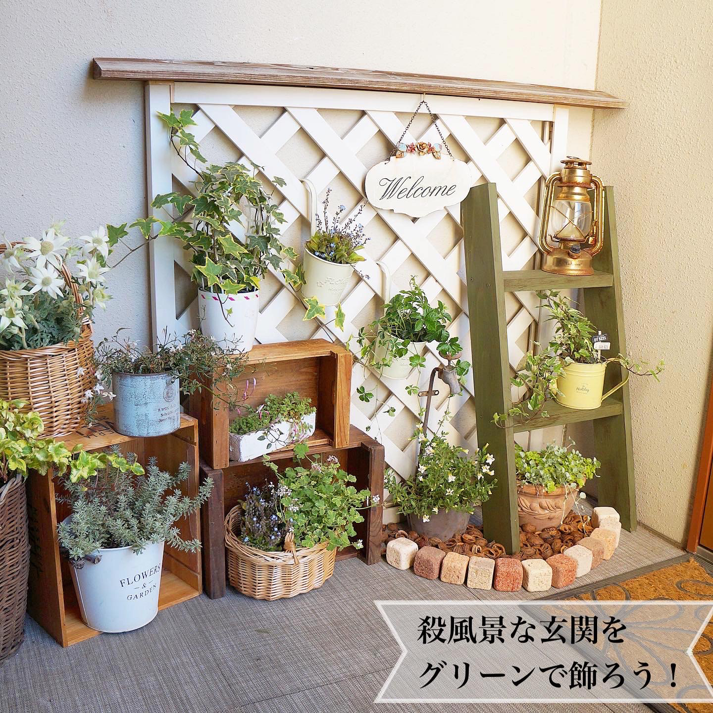 激安の ガーデニング 花 植物 ｄｉｙ関連 玄関先にリラックスムードを 新規購入 Www Albaraka Com Sd