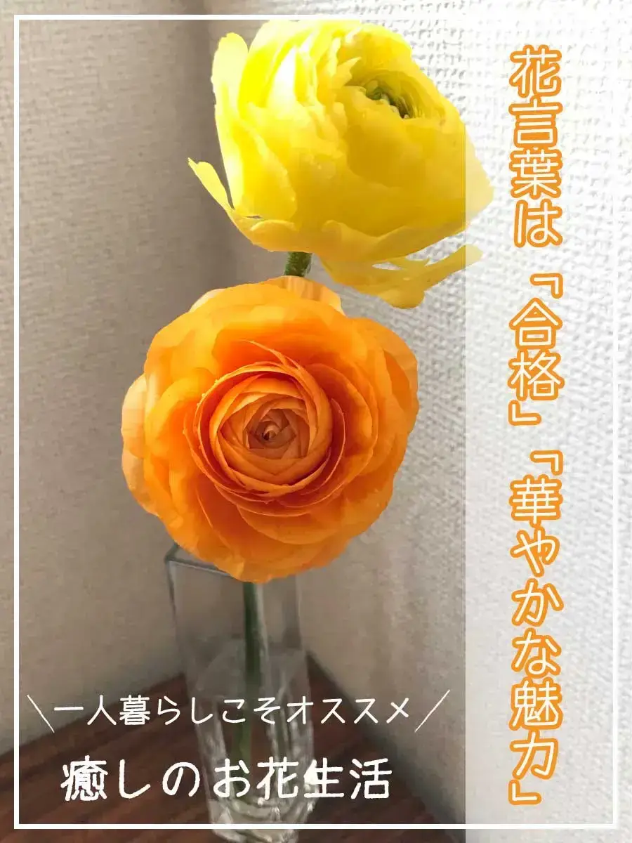 一人暮らしとお花 合格 華やかな魅力 癒されたいolが投稿したフォトブック Lemon8