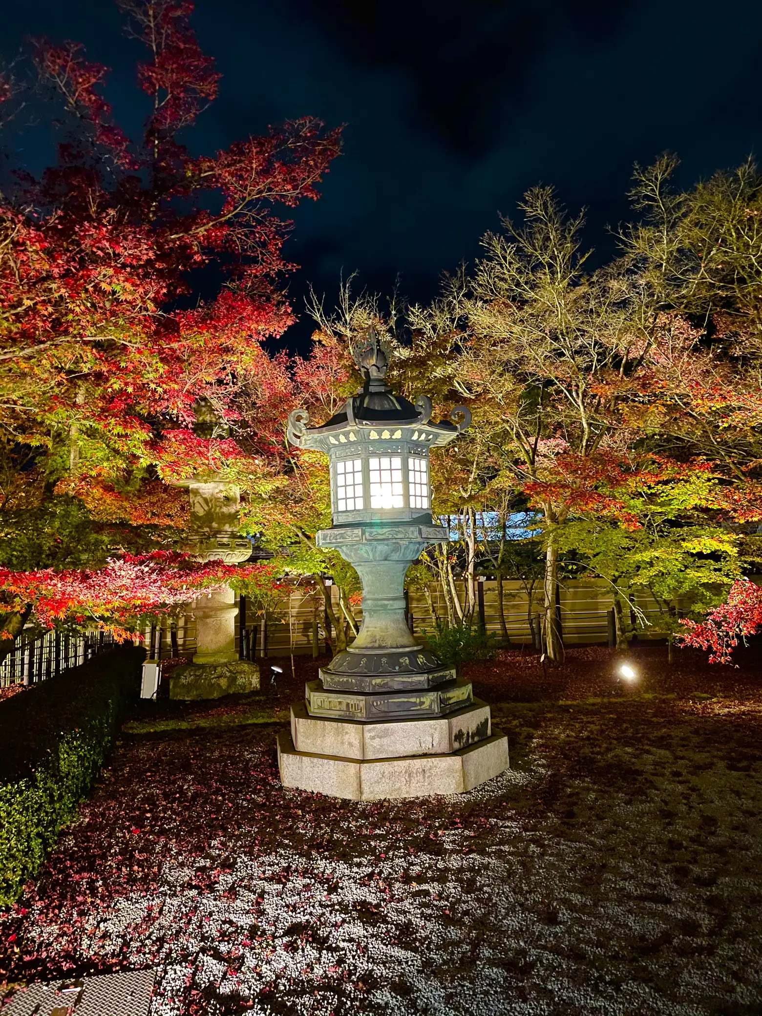 〜京都府〜秋の紅葉は永観堂！夜のライトアップの画像 (2枚目)