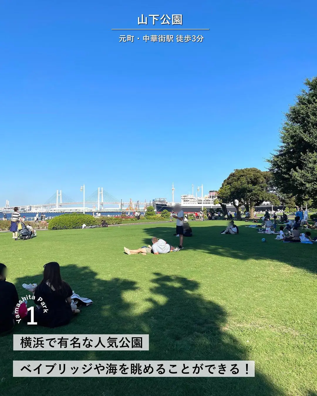【横浜で人気のピクニックデート】の画像 (2枚目)