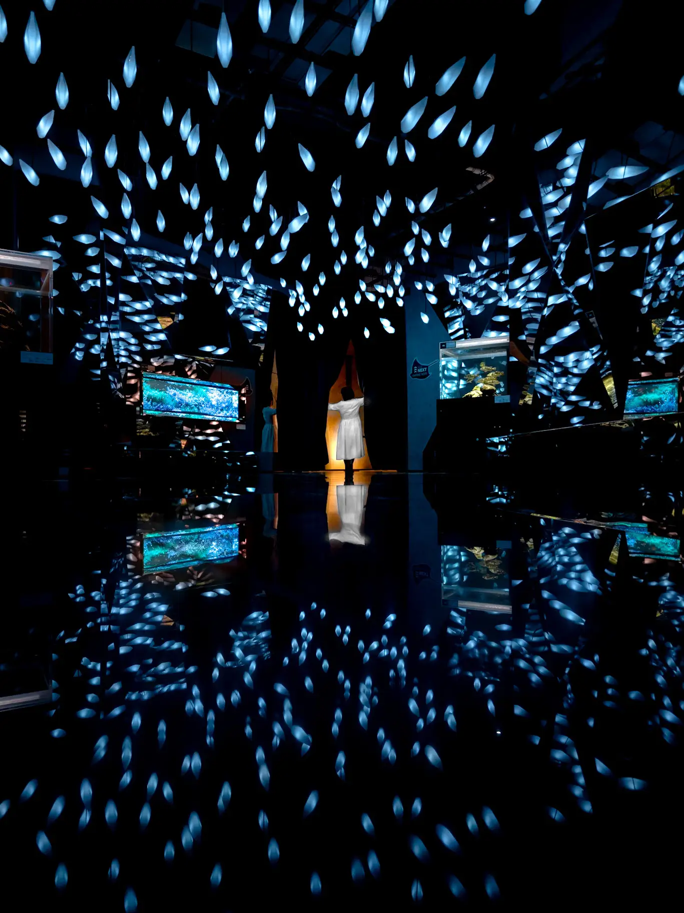 【神戸にある新感覚の水族館！🐠】アクアリウムとアートが融合した水族館がとても美しい！✨の画像 (3枚目)