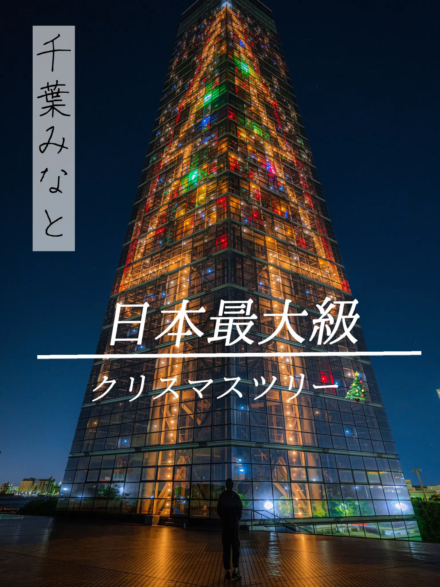 実は穴場 日本最大級のクリスマスツリー Makoo Filmsが投稿したフォトブック Lemon8