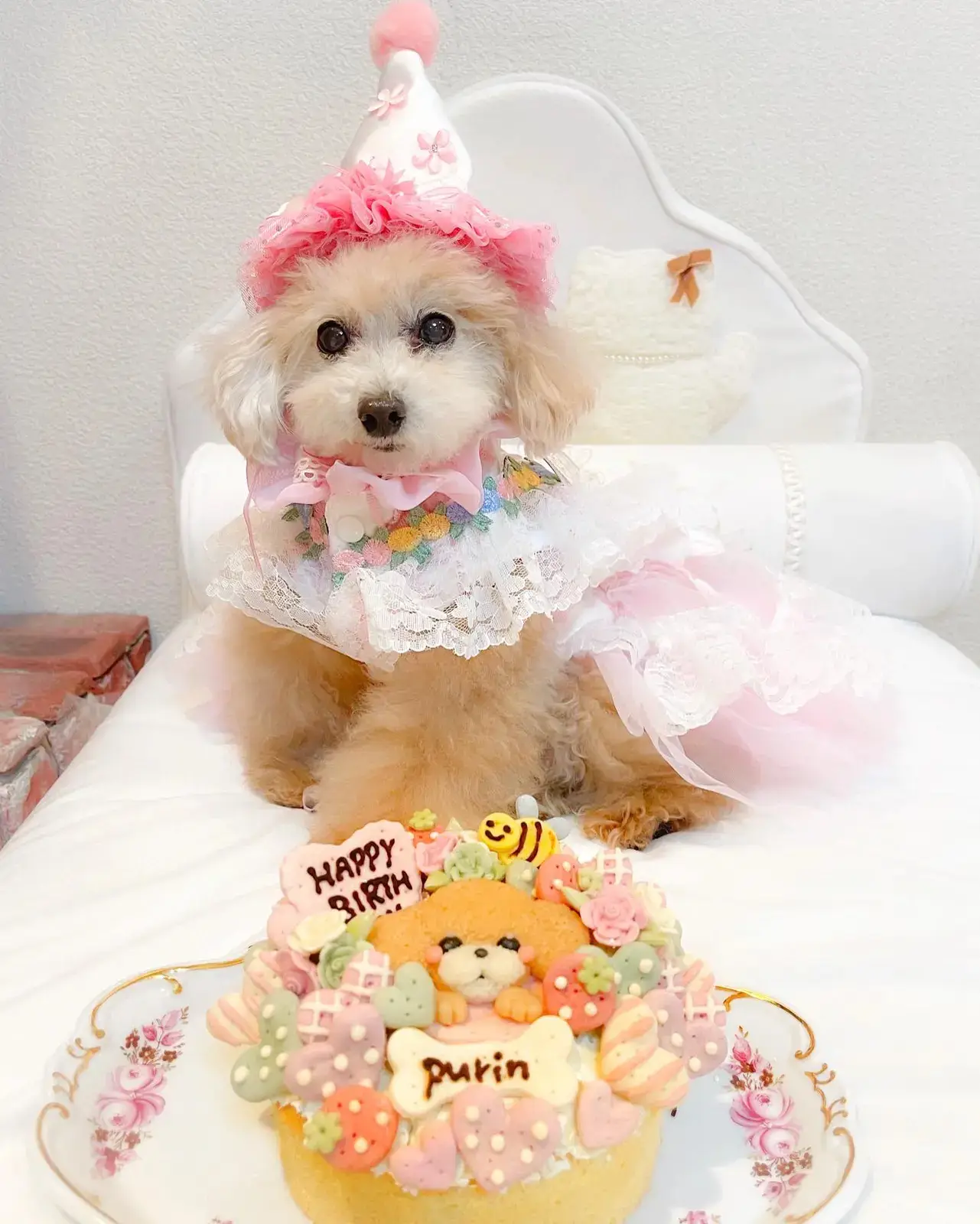 プリンたんのお誕生日ケーキ がそっくりすぎる プリッフィーが投稿したフォトブック Lemon8