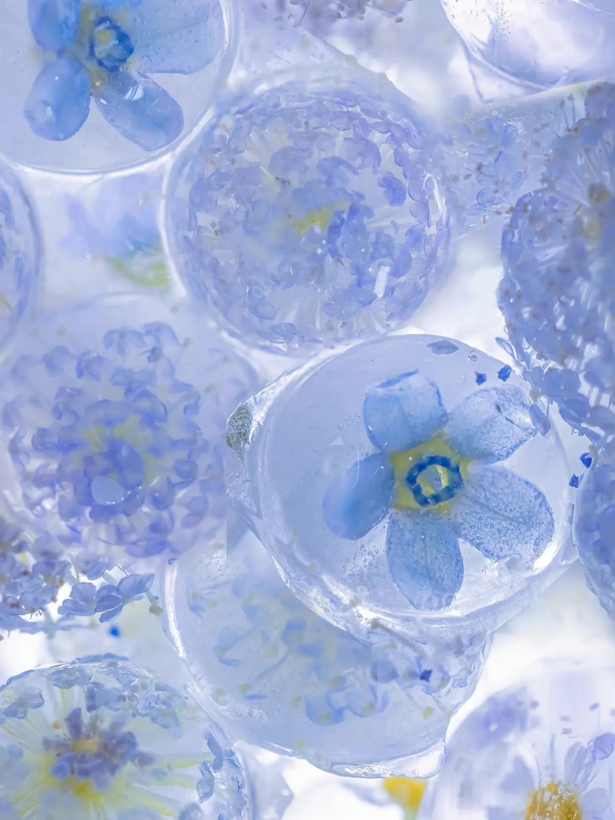 夏にぴったり待ち受けその 壁紙アイデアが投稿したフォトブック Lemon8