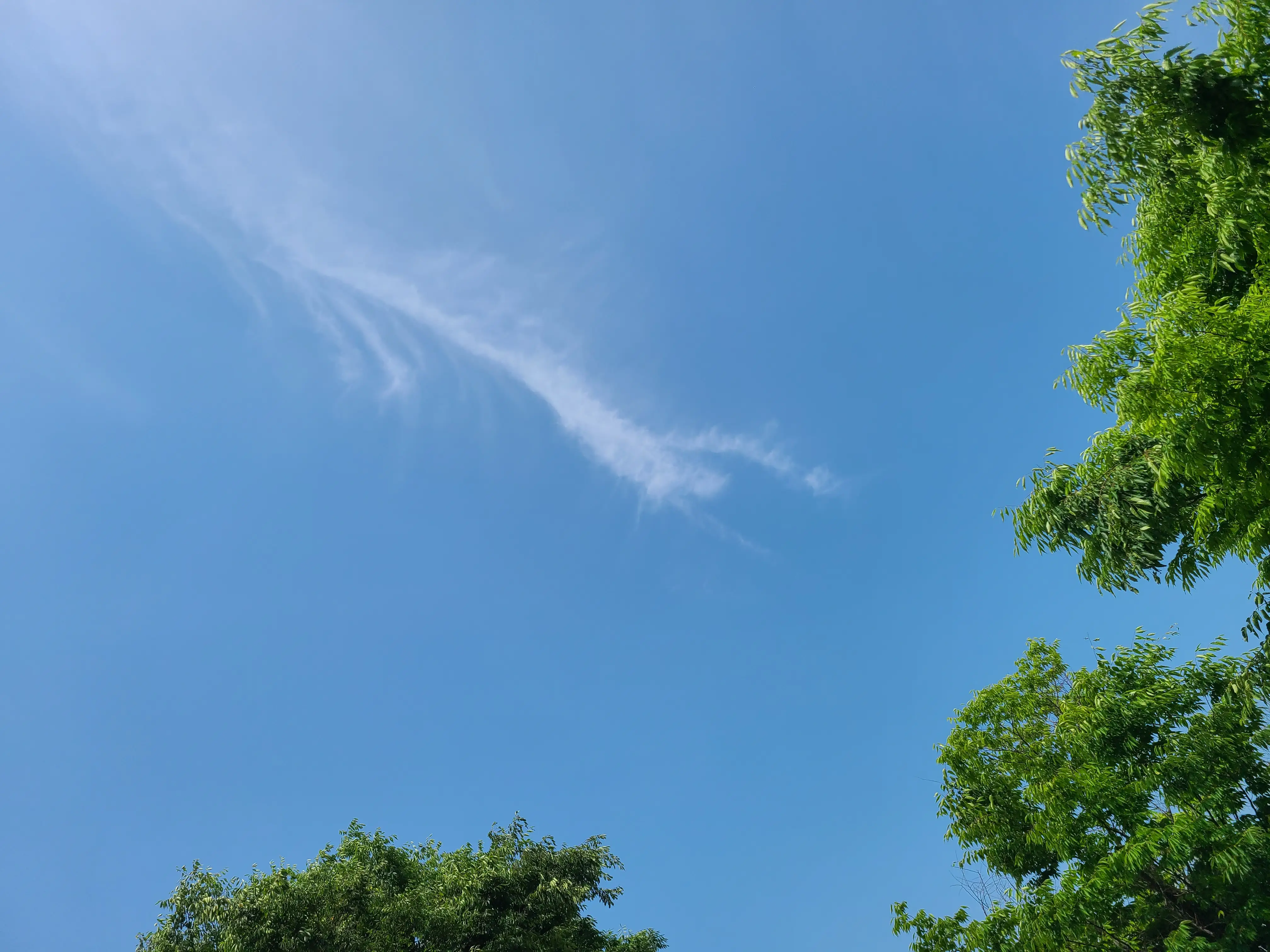 龍雲に関する最新の人気投稿 Lemon8