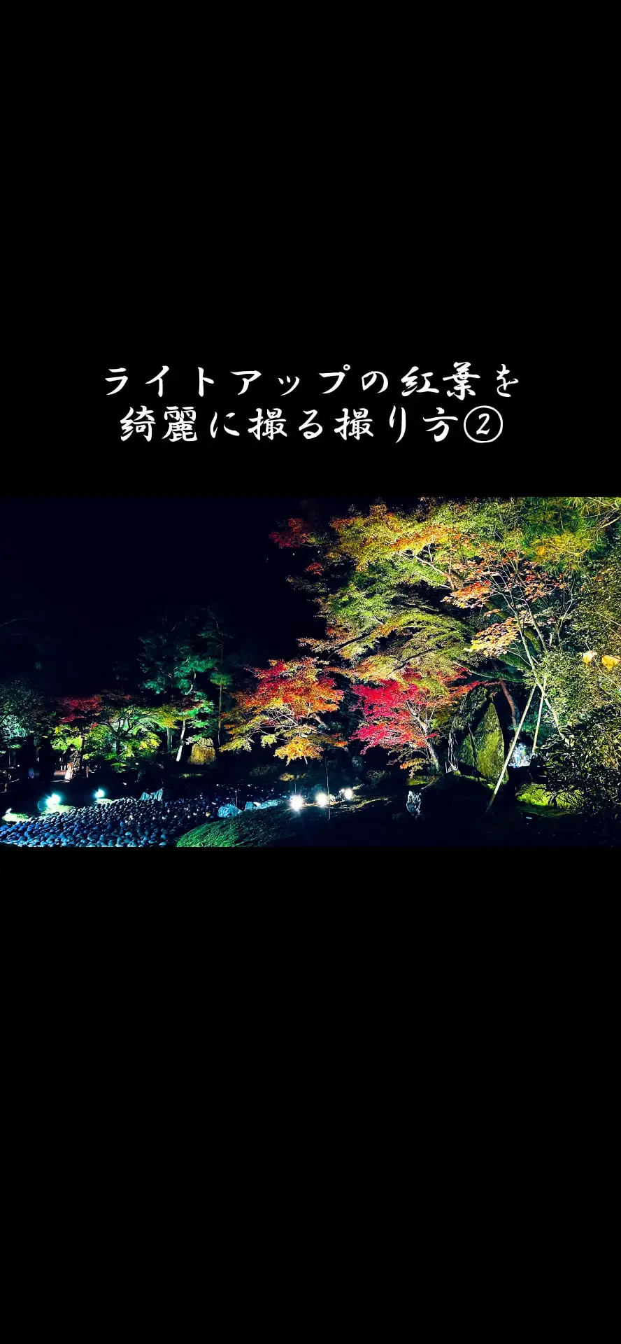 Lemon8 Story 紅葉 ライトアップ