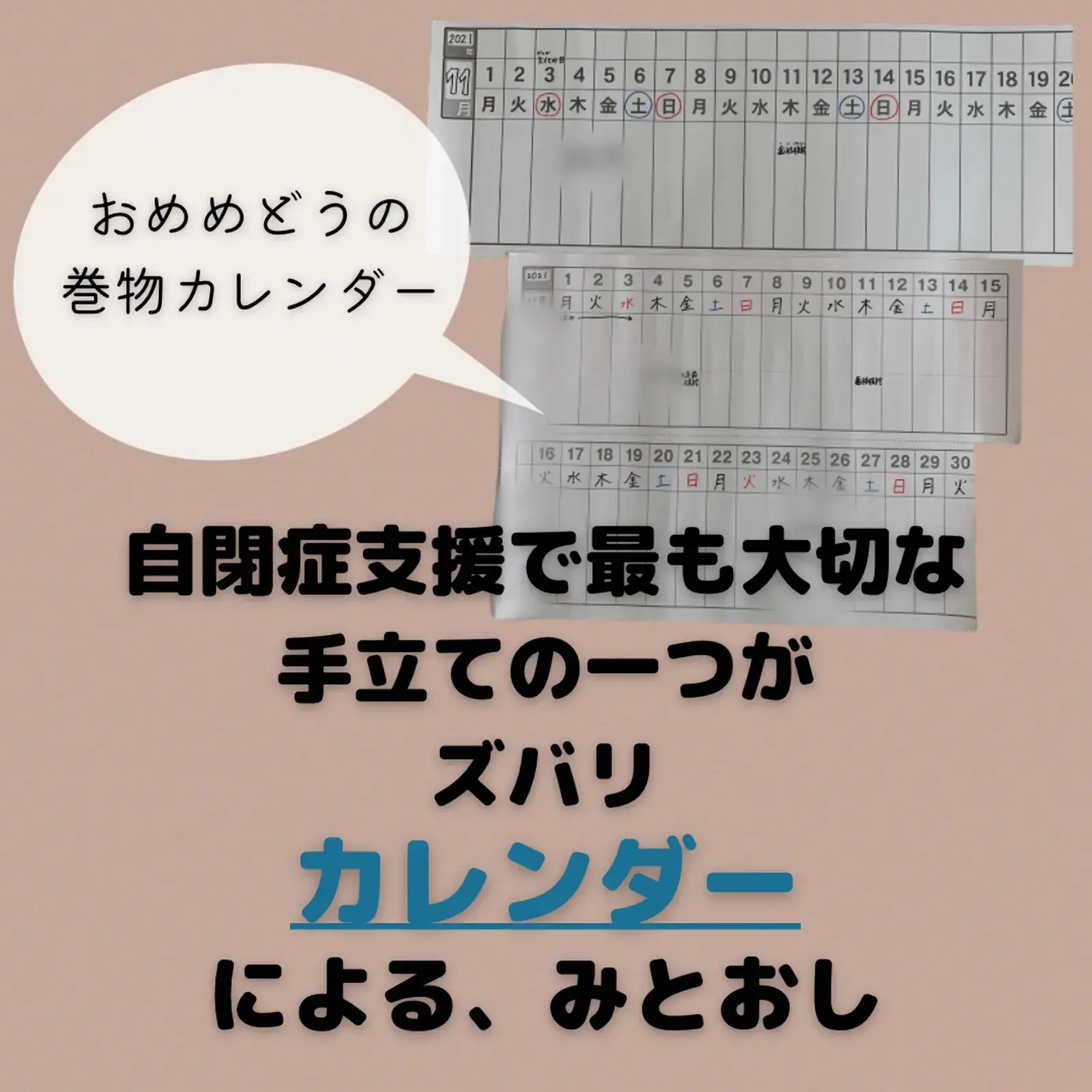 自閉症支援 カレンダーで見通し デイジー 自閉っ子sおかん が投稿したフォトブック Lemon8
