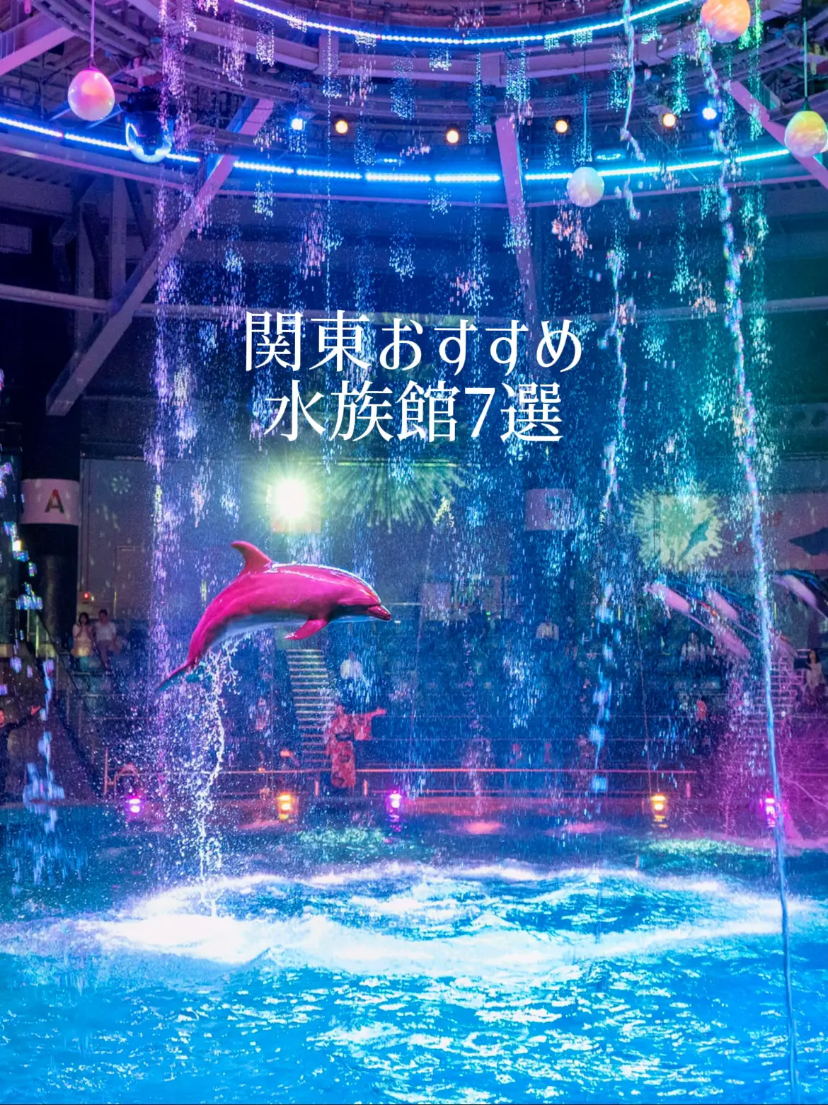 関東 悪魔的 絶対に行きたい水族館7選 ジャックトラベル カメラ旅 が投稿したフォトブック Lemon8