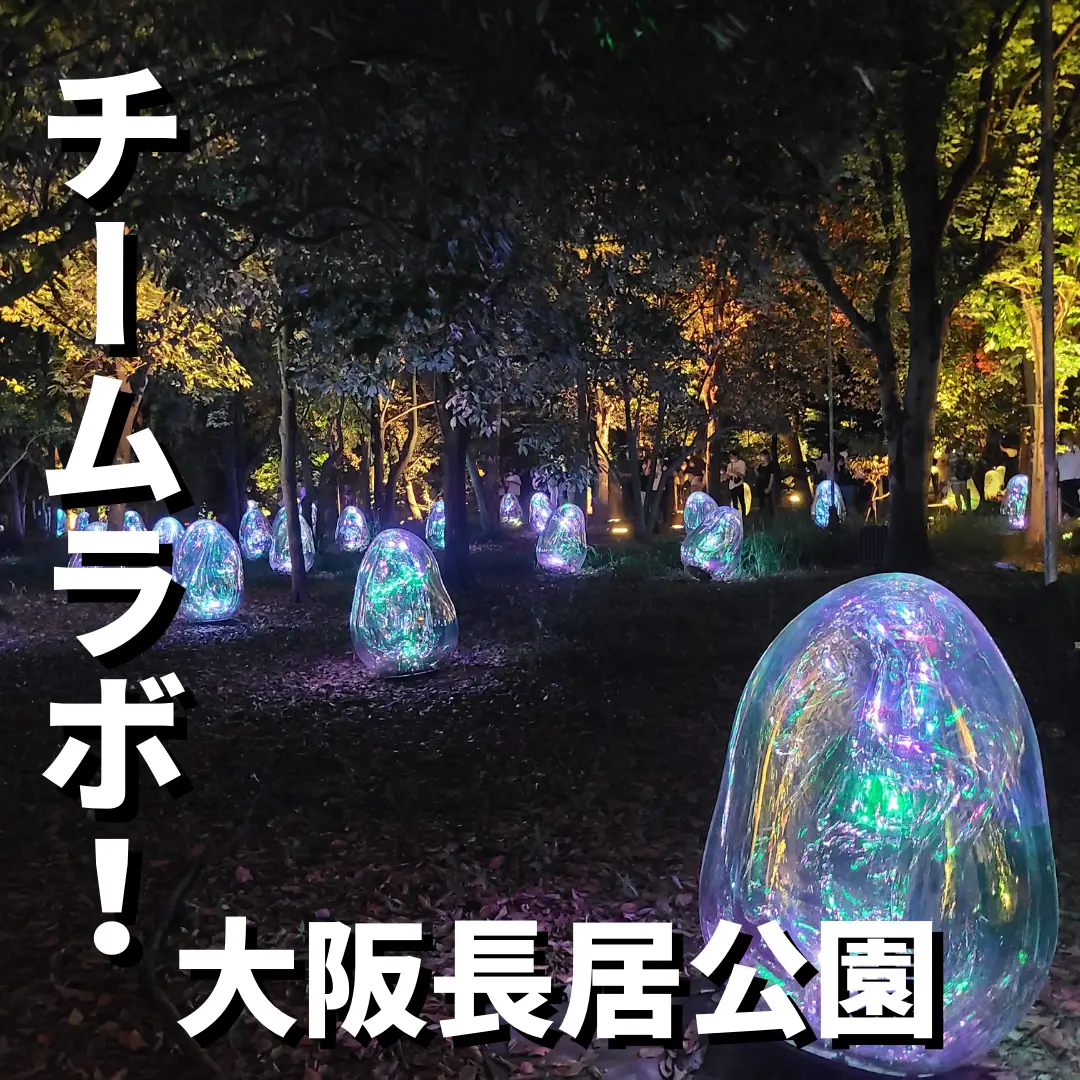 大阪 チームラボとコラボした夜の公園が絶景 Shoblog 関西格安ホテルが投稿したフォトブック Lemon8