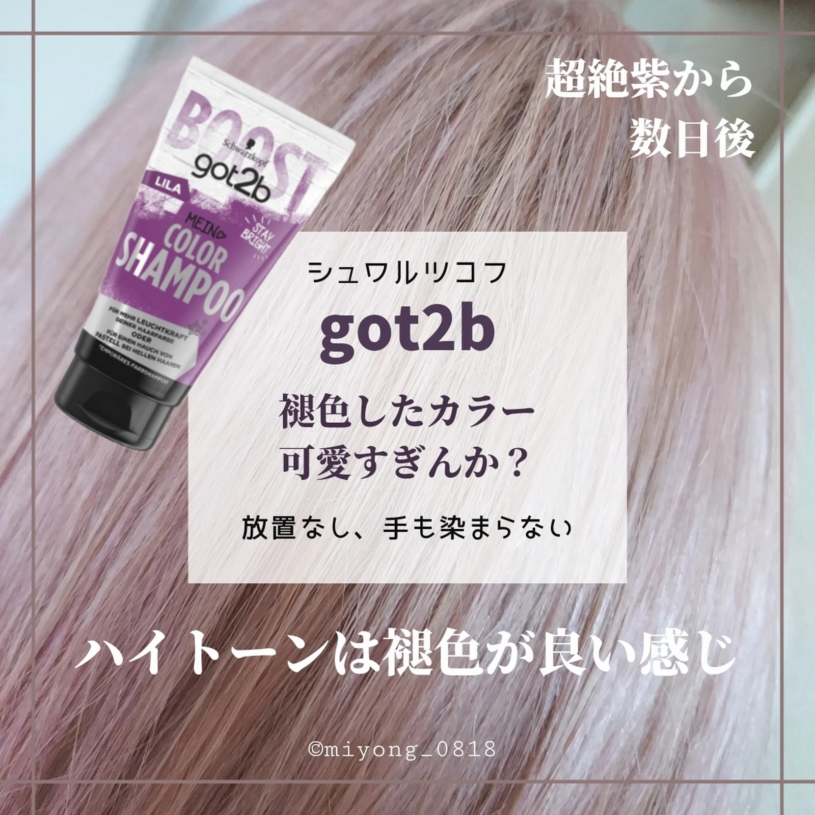Got2b カラーシャンプー シルバー 使い方 Lemon8