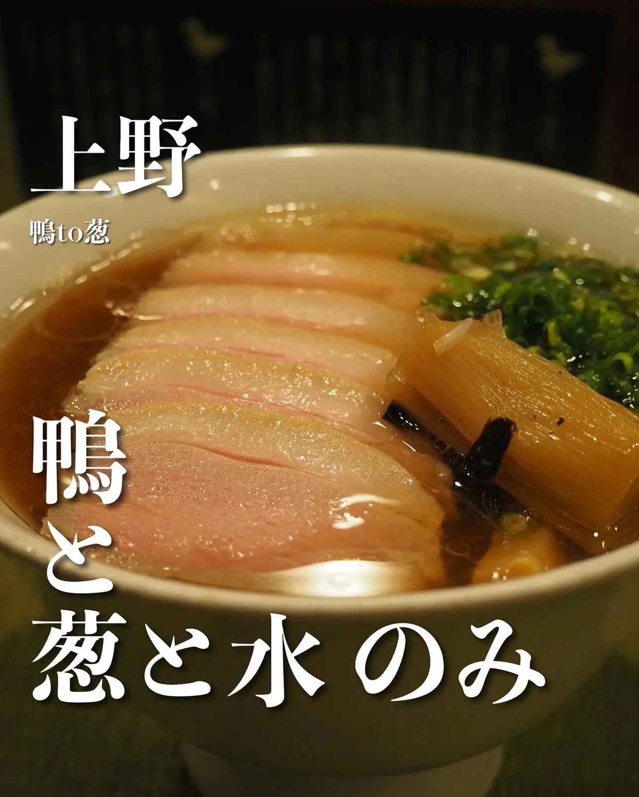 鴨 葱 水のみのスープなのにコクの深さがたまらない 代サラリーマンが投稿したフォトブック Lemon8