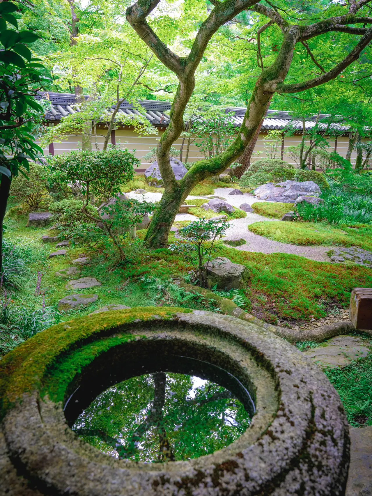 【死ぬまでに絶対行きたい日本の風景】永観堂禅林寺@京都の画像 (1枚目)