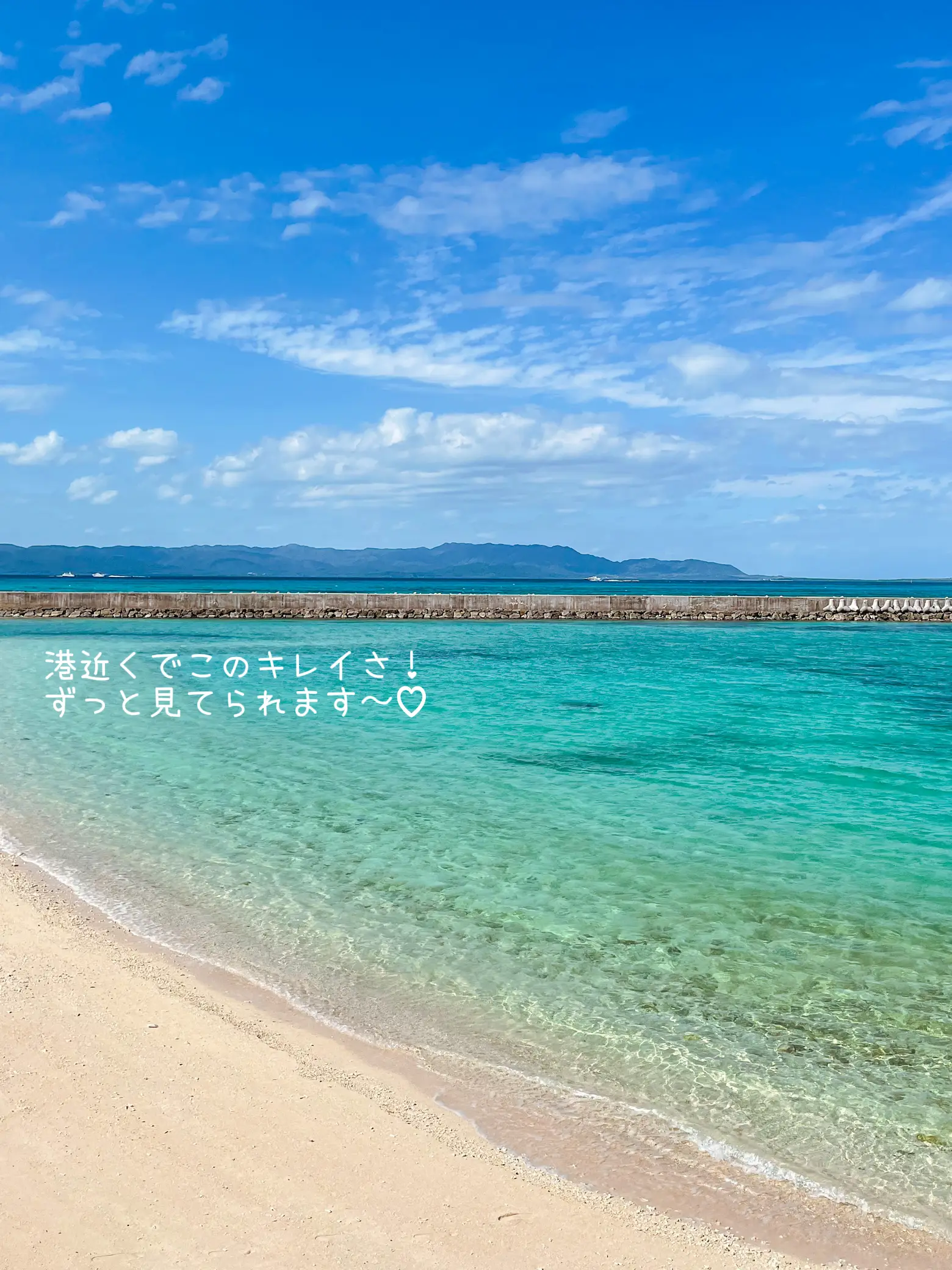 【黒島】石垣島から日帰りでも行けるのどかな島の画像 (3枚目)