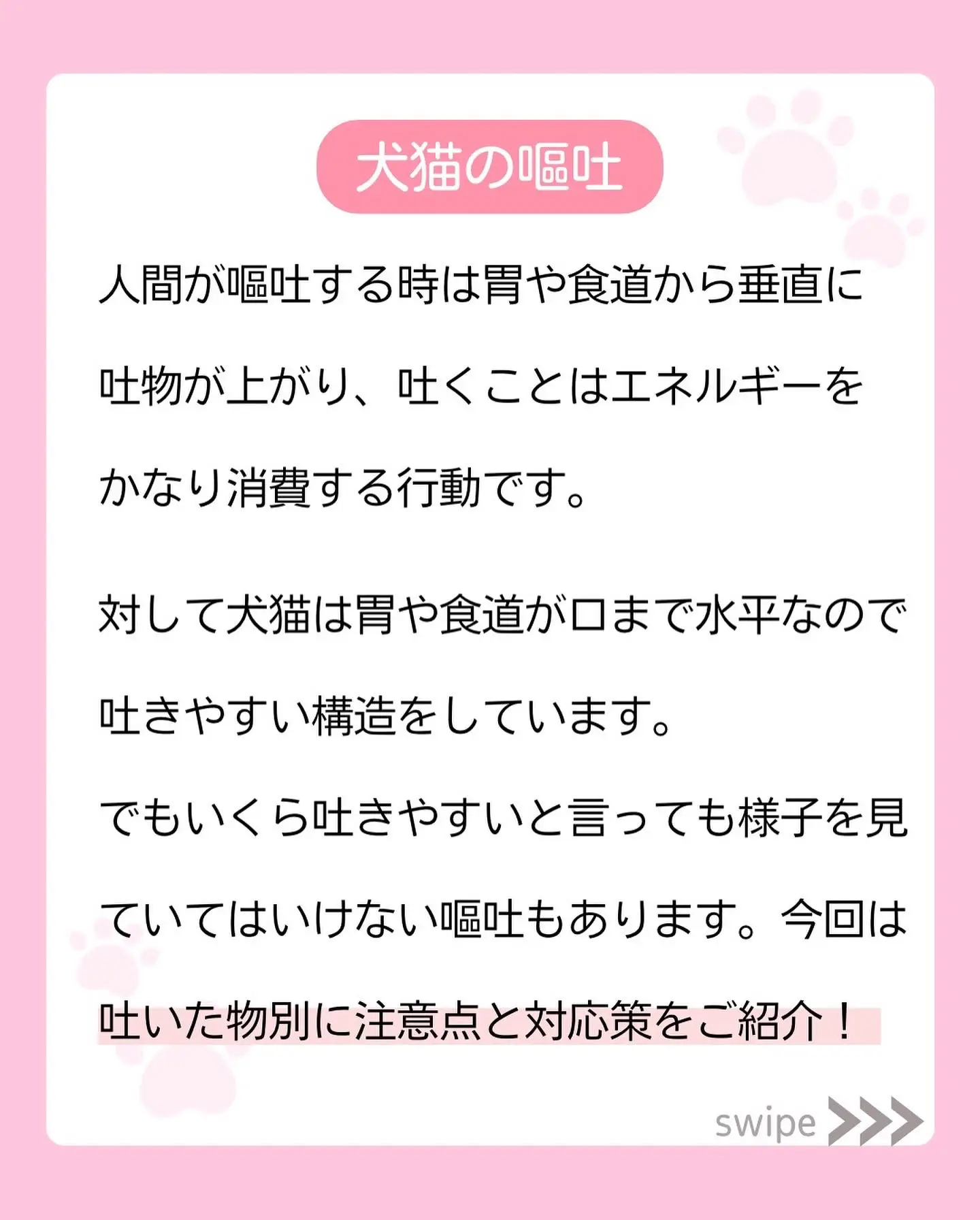 吐いたもの別 注意点と対応策 宮本あかり 犬猫育てトレーナーが投稿したフォトブック Lemon8