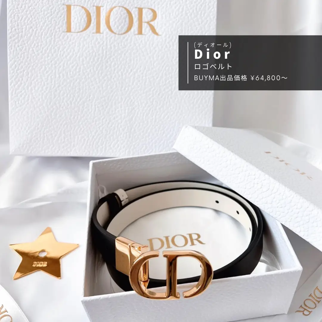 DIOR D-Waist Belt ベルト ウエストベルト 通販特価 - avante.org.br