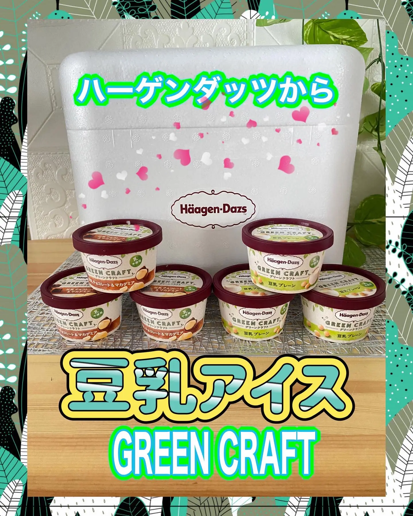 訳ありセール 格安） ハーゲンダッツ GREEN CRAFT グリーンクラフト 6個セット carolinebarbosass.com.br