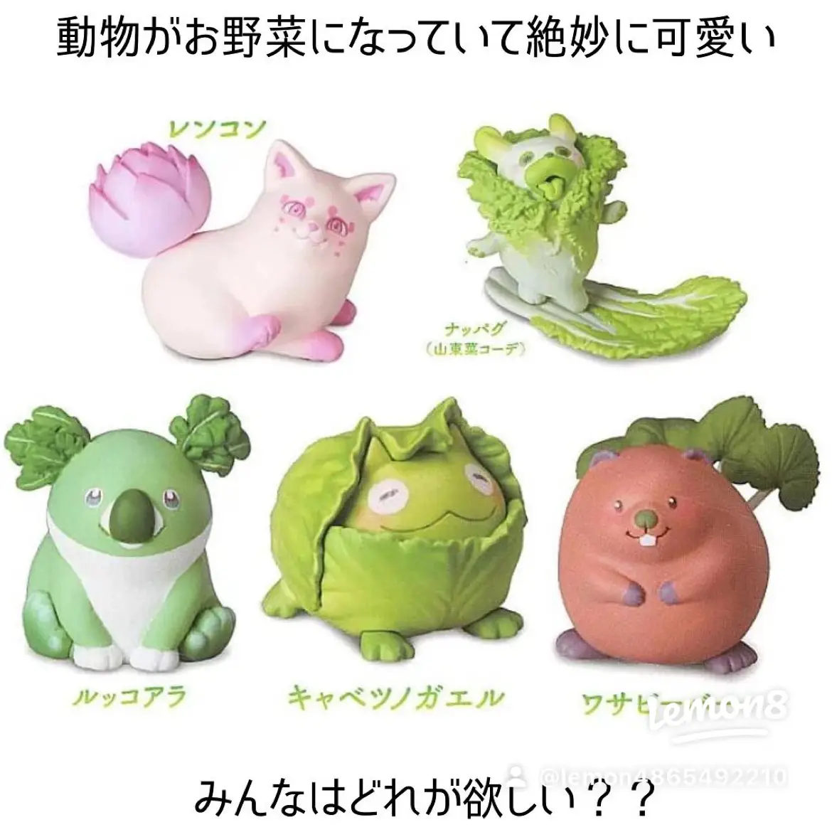 動物が野菜に おやさい妖精さん Gacha2 Bunbunが投稿したフォトブック Lemon8