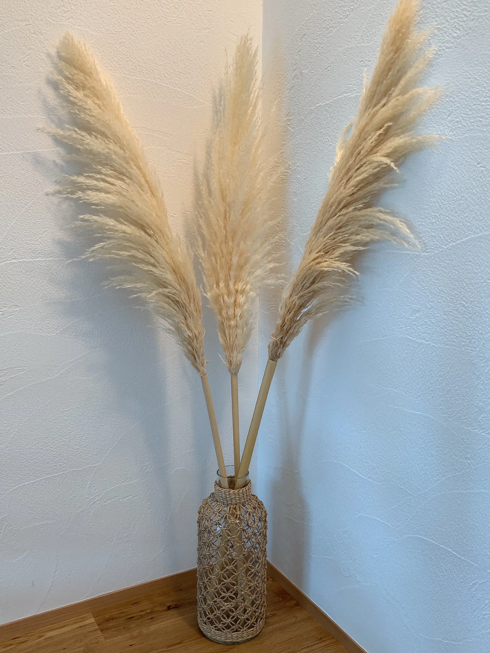 パンパスグラス Eriが投稿したフォトブック Lemon8