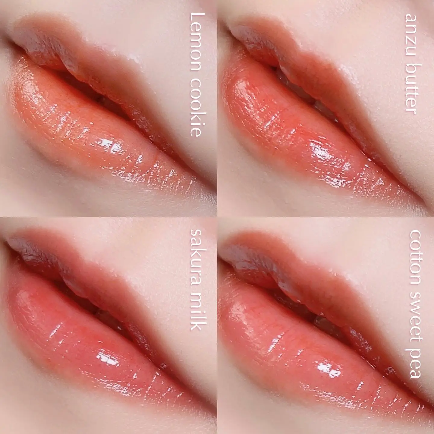 商品 限定 新品 RHODE LIP TREATMENT リップ パッションフルーツ yes