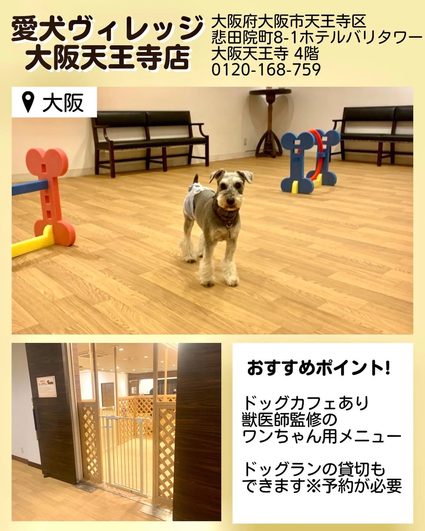 保存版 関西の室内ドッグラン7選 関西わんことお出かけ情報 が投稿したフォトブック Lemon8