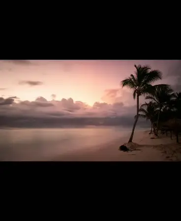 恋愛格言 あなたの恋愛を応援する言葉 Sakutangoが投稿した記事 Lemon8