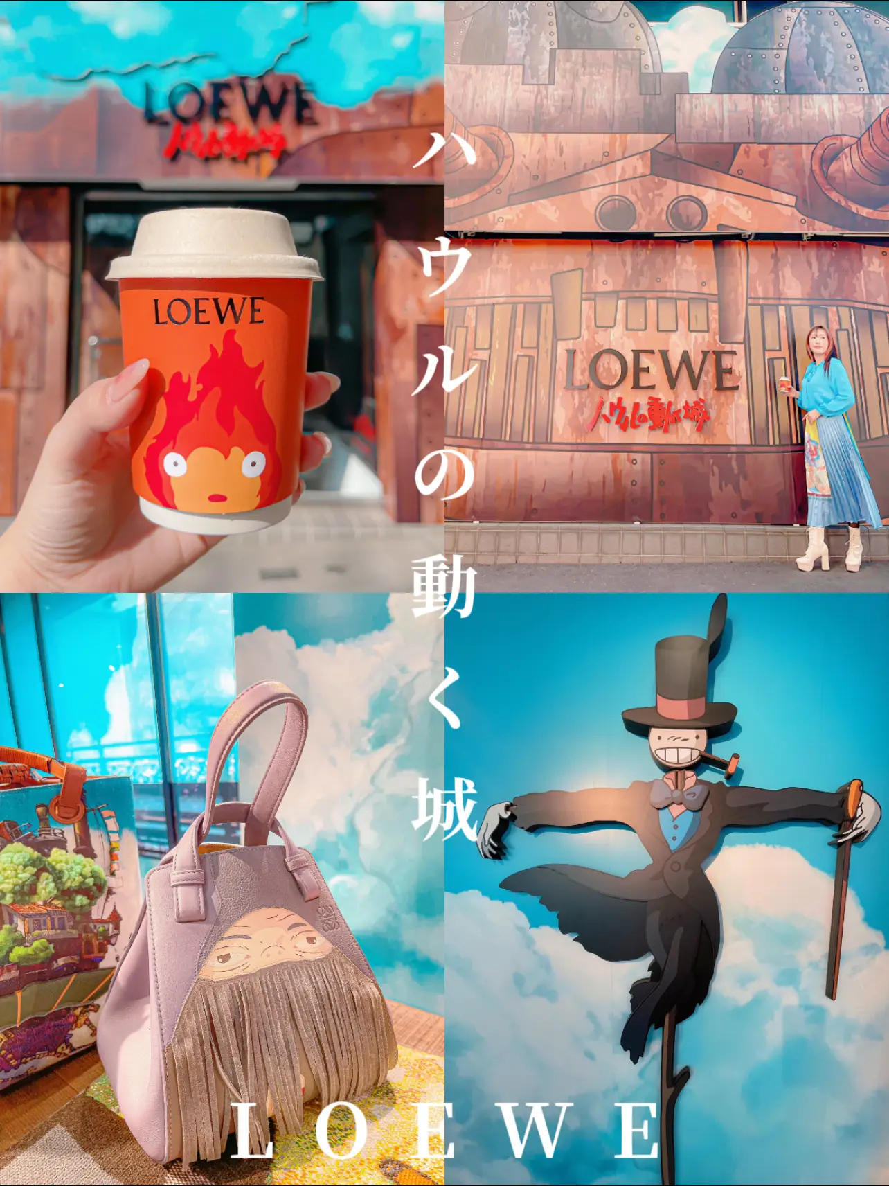 LOEWE x ハウルの動く城 やさい ヒン カードケース ソフィ袋付き