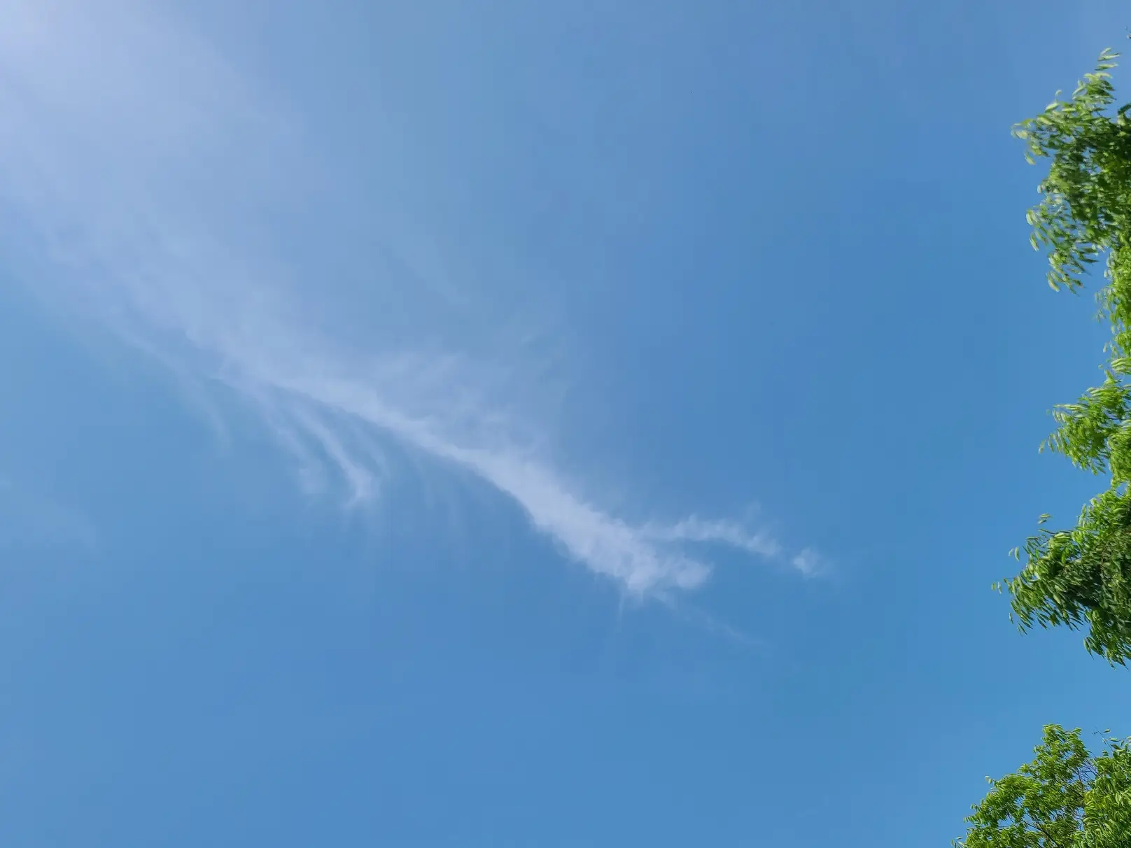 龍雲に関する最新の人気投稿 Lemon8
