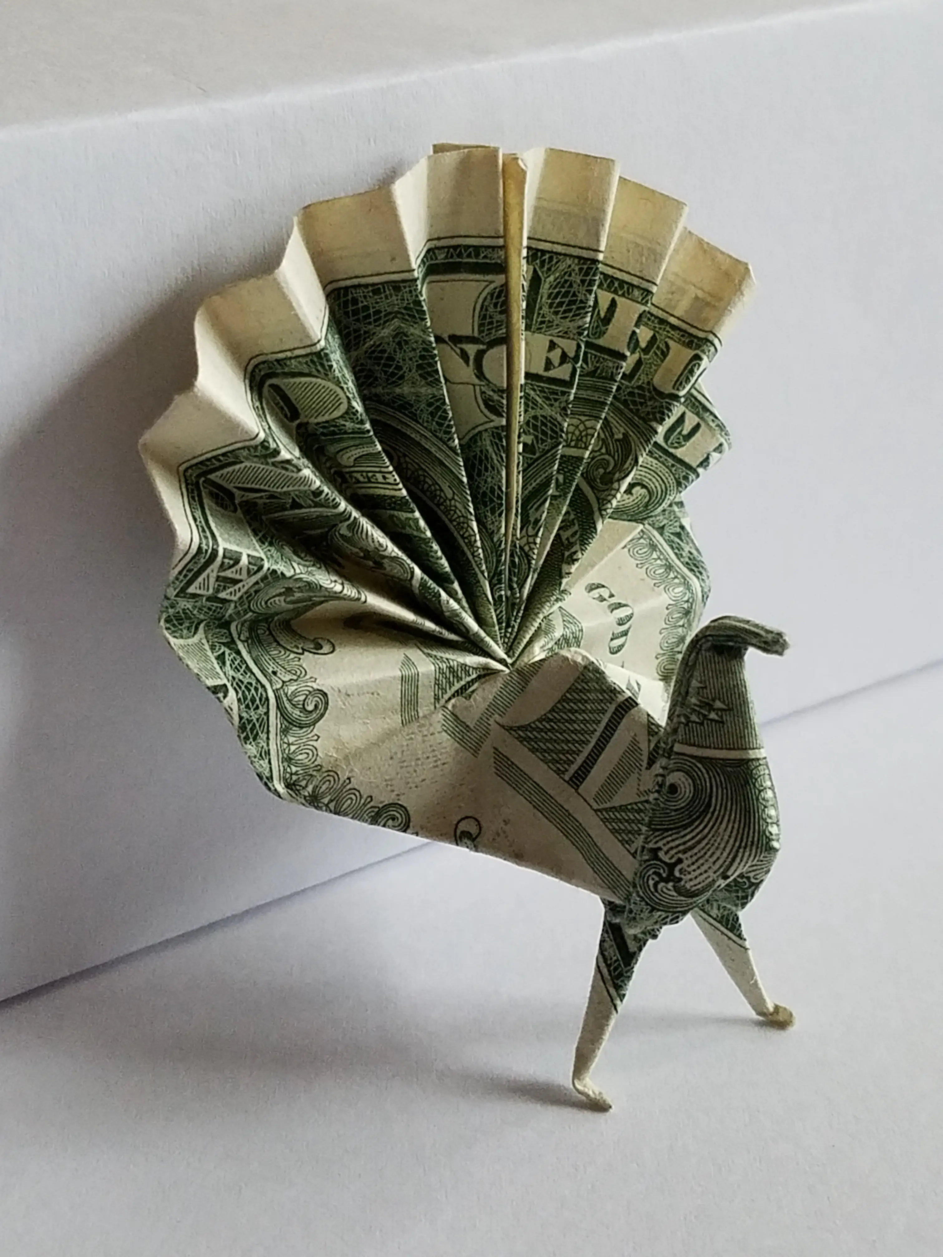 1 札で折った孔雀です Jijiokが投稿したフォトブック Lemon8