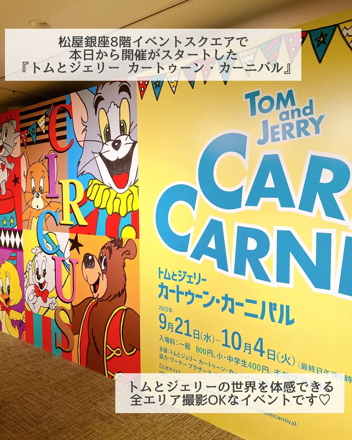 トムとジェリー壁紙 Lemon8