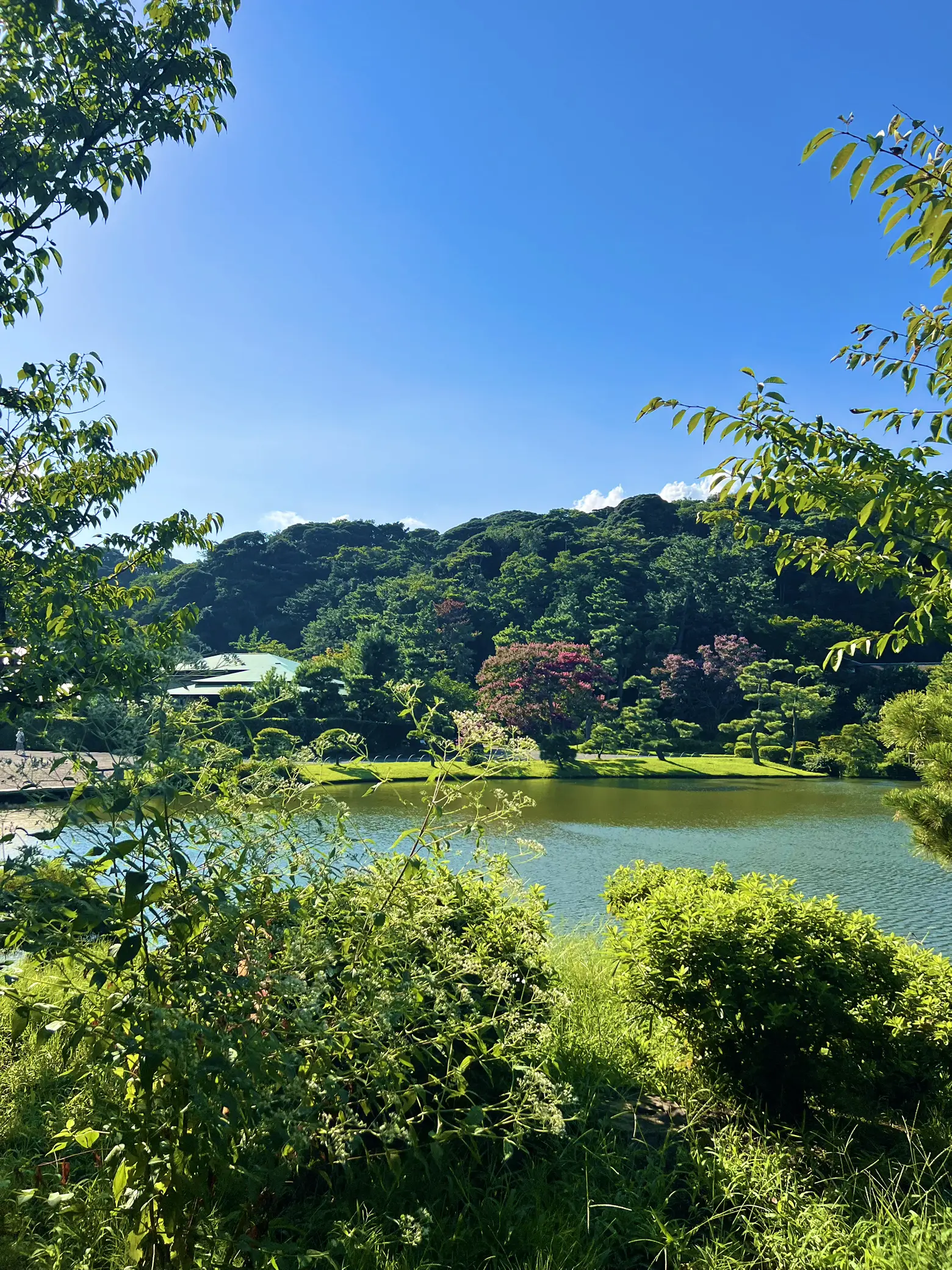 〜神奈川県〜和の風情を感じる日本庭園！三溪園③の画像 (3枚目)
