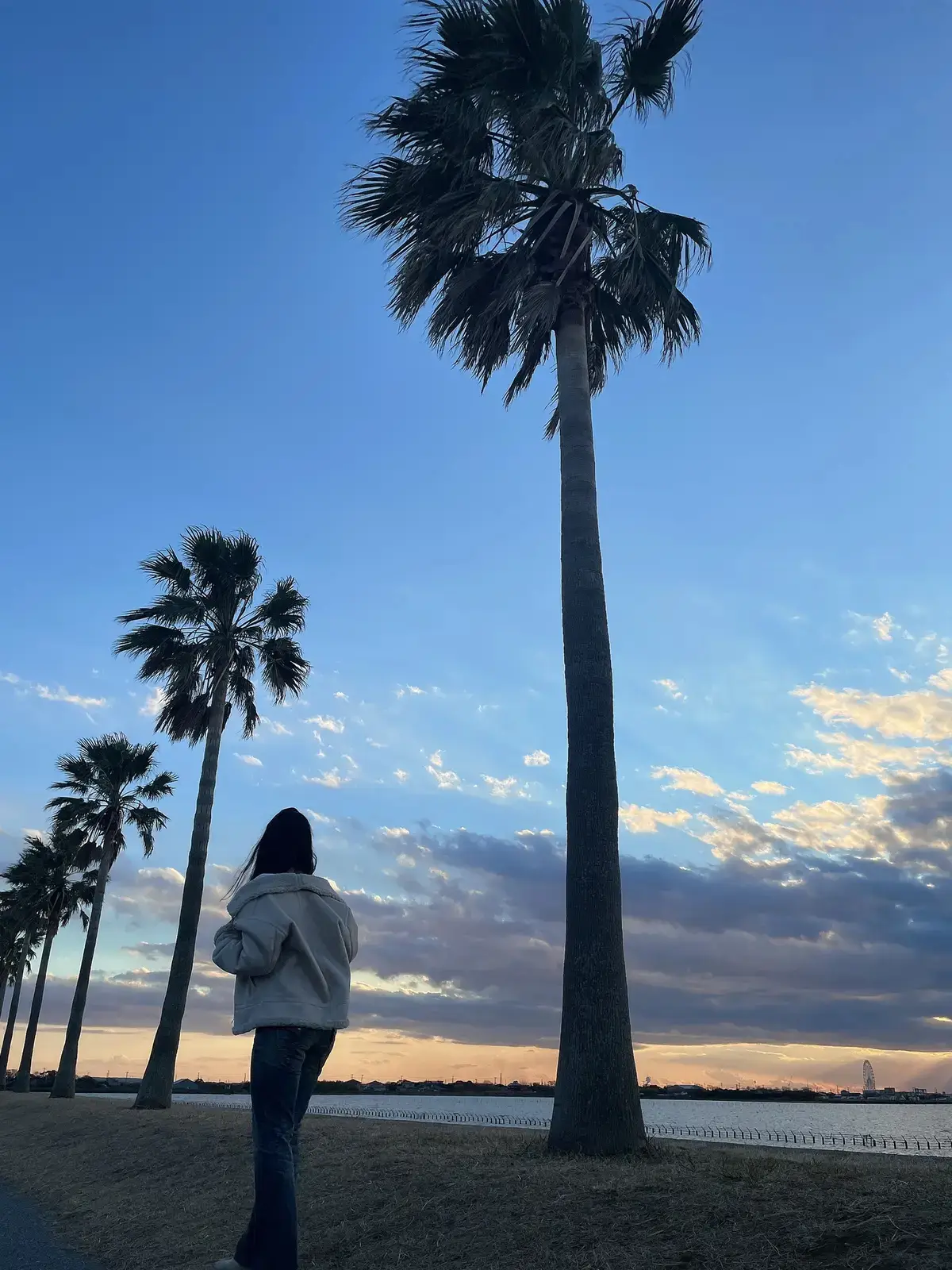 まるでアメリカ 首都圏のヤシの木ロード Noah0224が投稿したフォトブック Lemon8