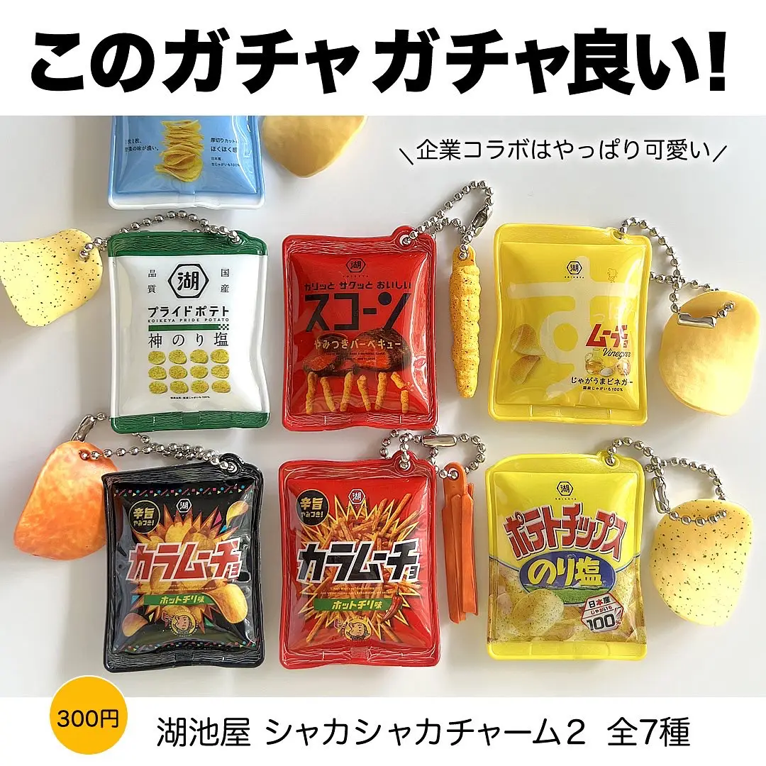 湖池屋シャカシャカチャーム4❤️スコーンやみつきバーベキュー - その他