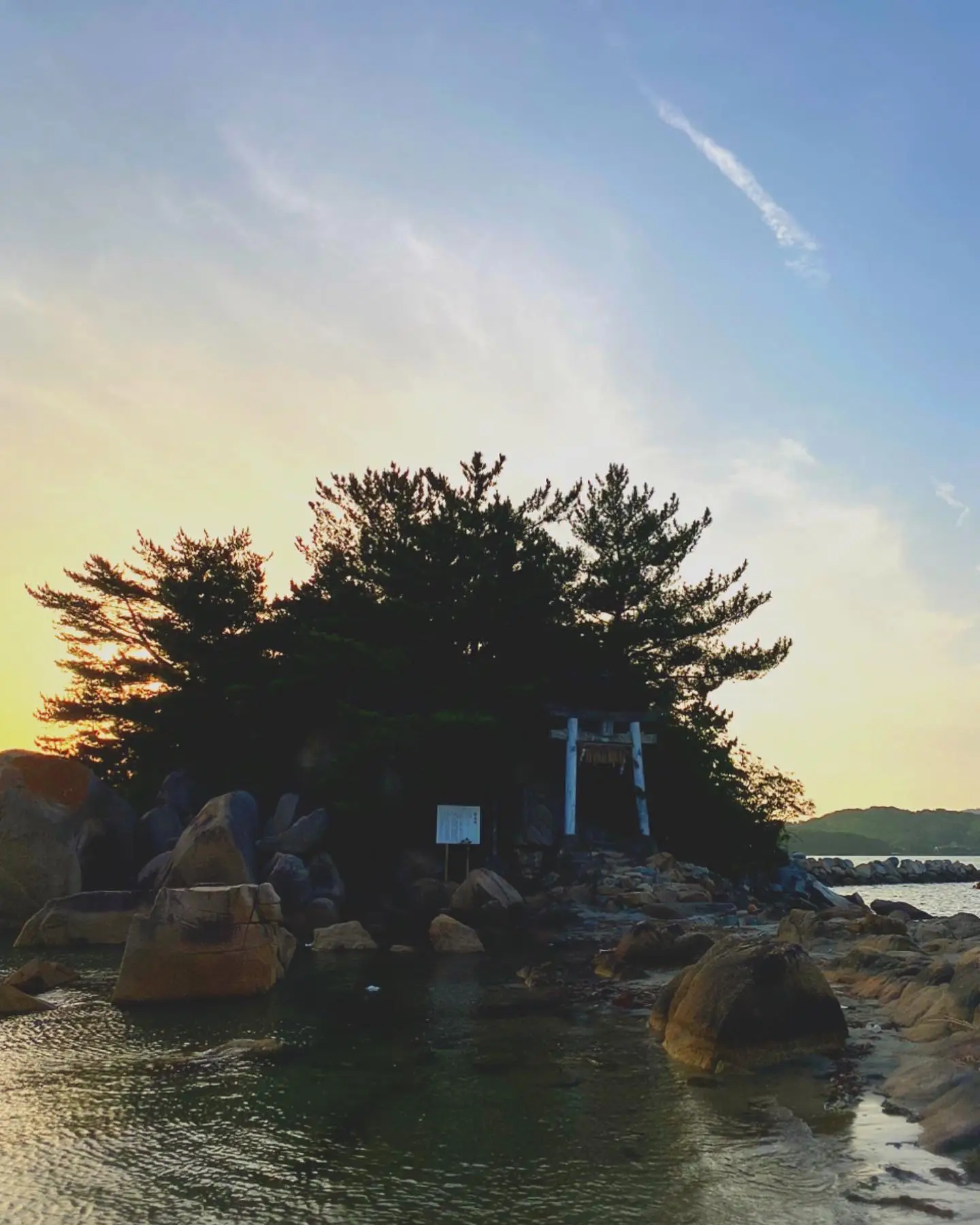 Asahiに関する最新の人気投稿 Lemon8