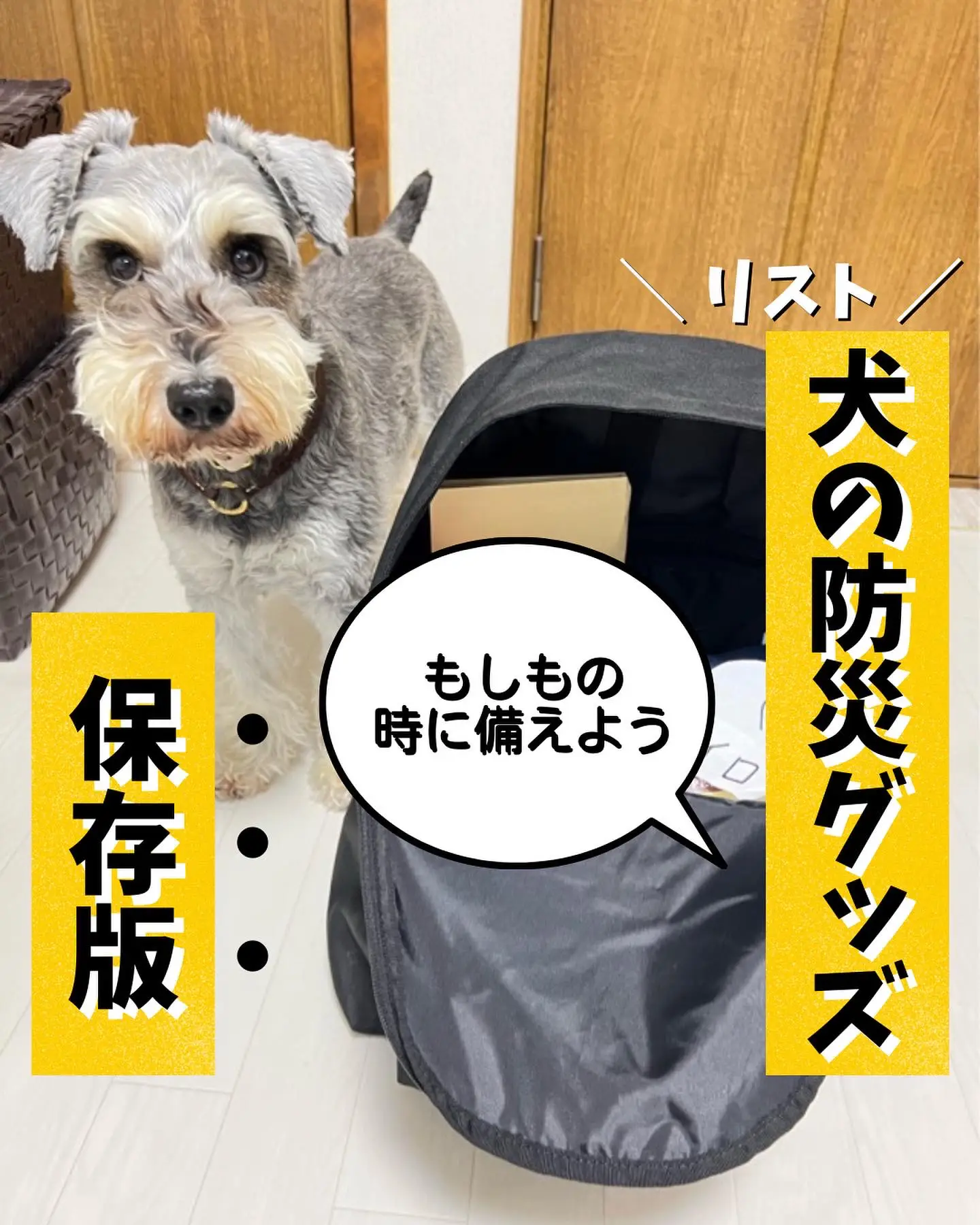 保存版 犬の防災グッズリスト もしもの時に備えよう 関西わんことお出かけ情報 が投稿したフォトブック Lemon8