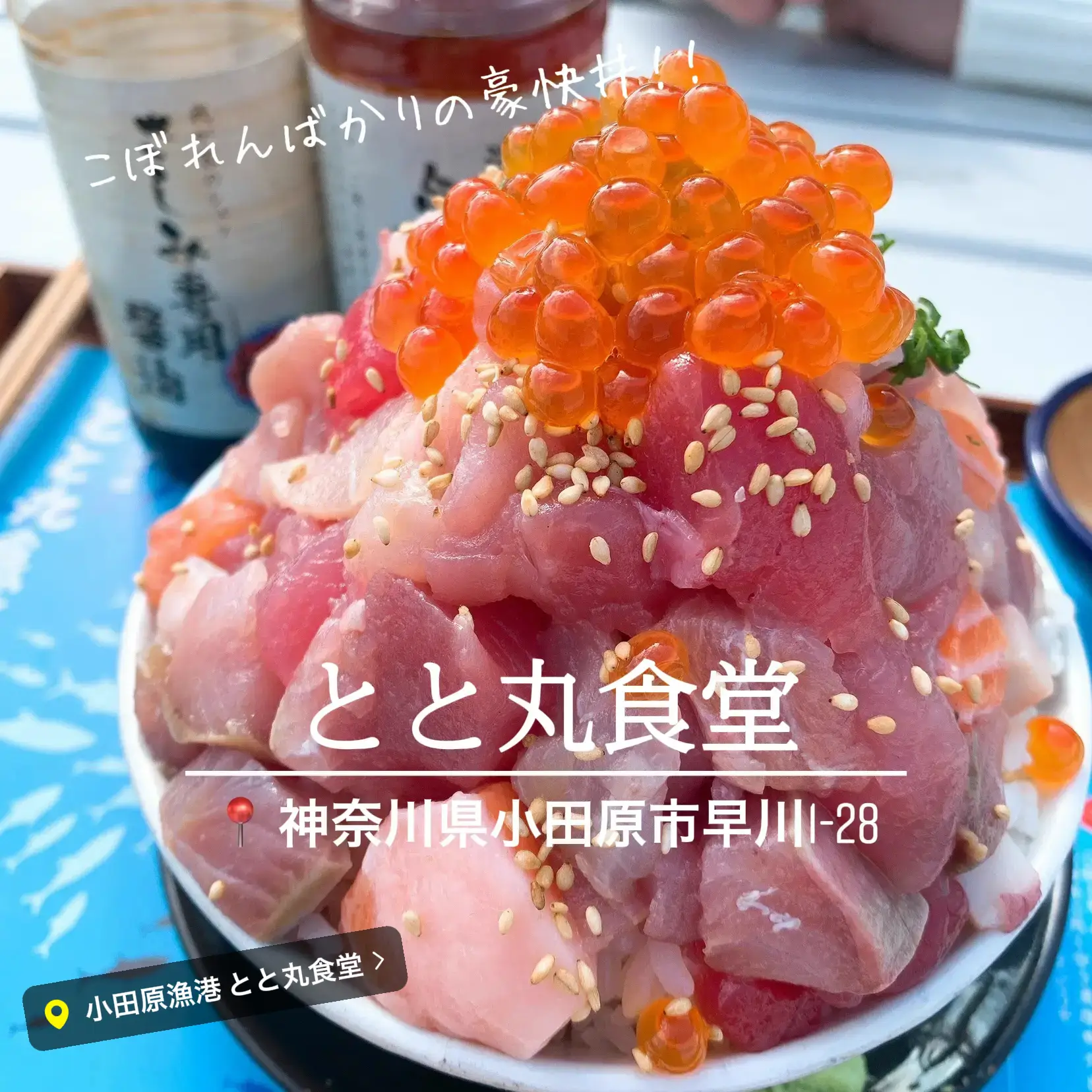 小田原 漁港の駅の海鮮丼がこぼれ落ちてヤバすぎた 瓜style 旅行記が投稿したフォトブック Lemon8