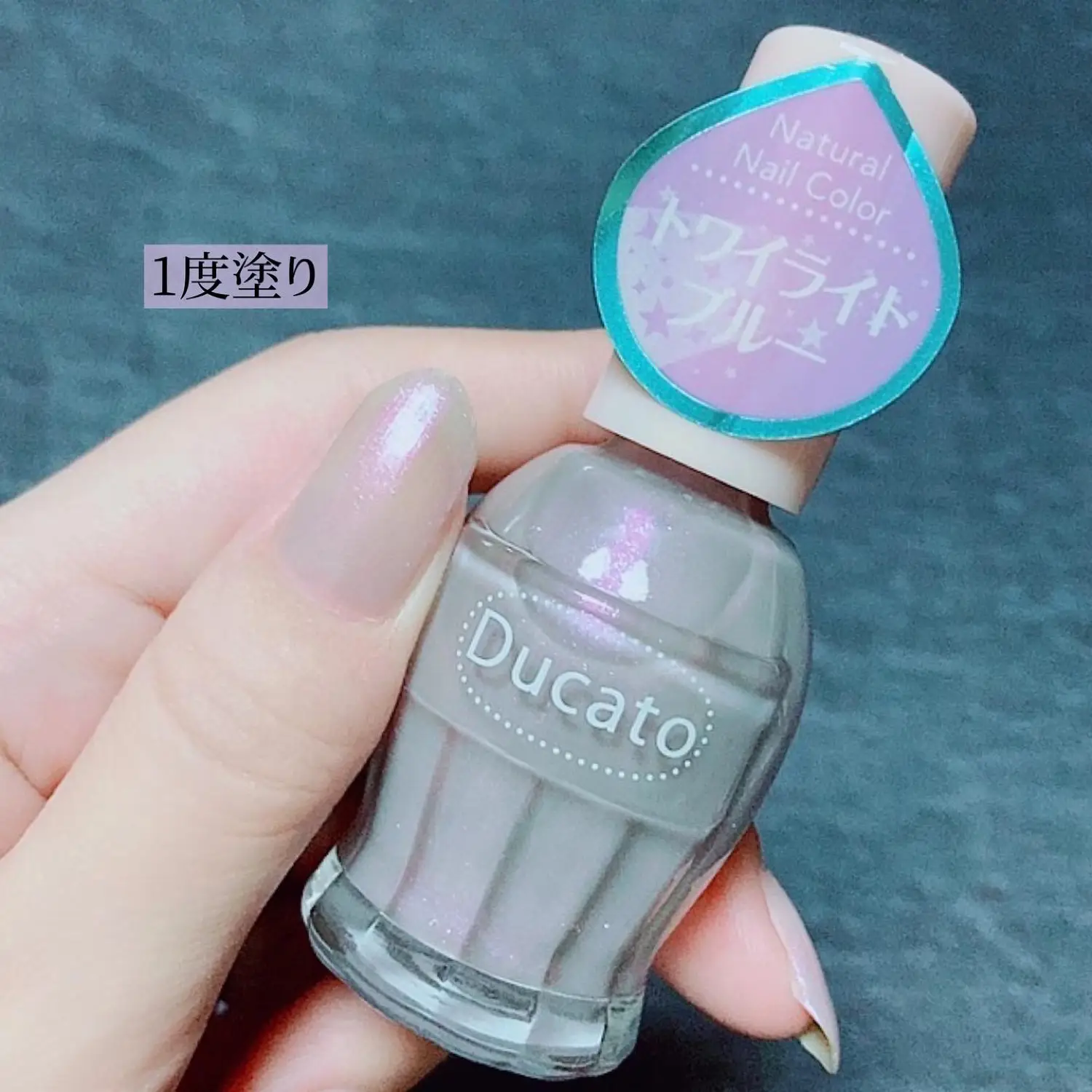 Ducatoの夏 Yukiko15が投稿したフォトブック Lemon8