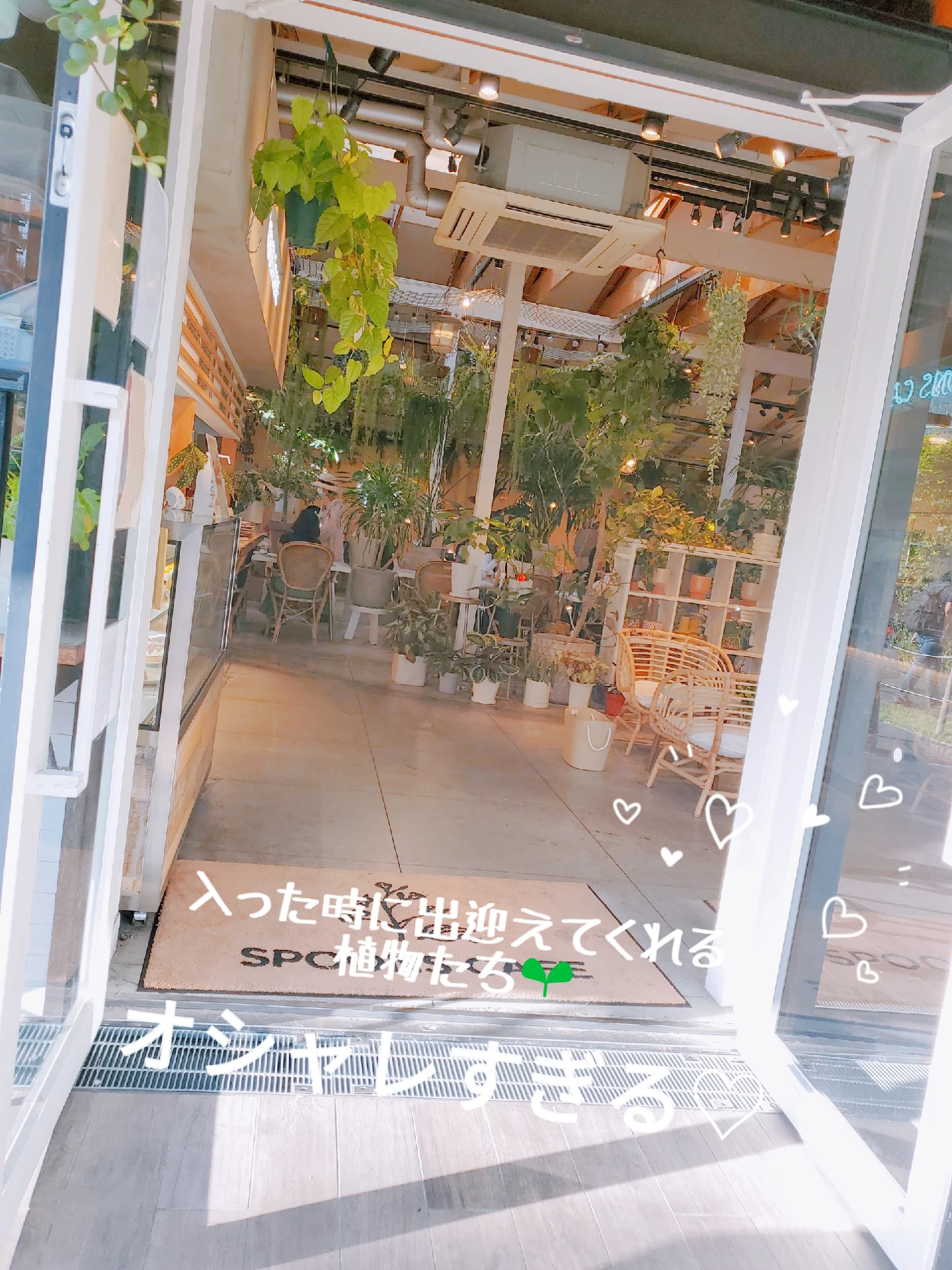 【大阪天王寺】植物に囲まれた癒しのカフェ♡の画像 (2枚目)