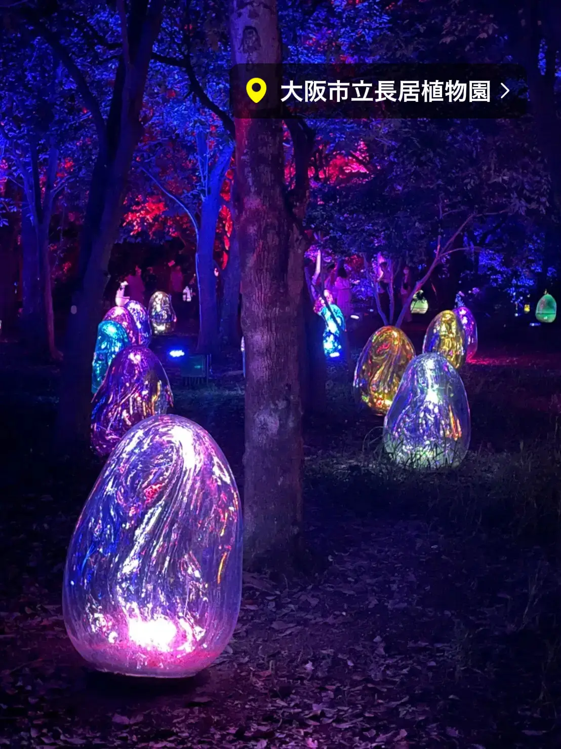 大阪 あのチームラボが大阪にも常設 Koharuが投稿したフォトブック Lemon8