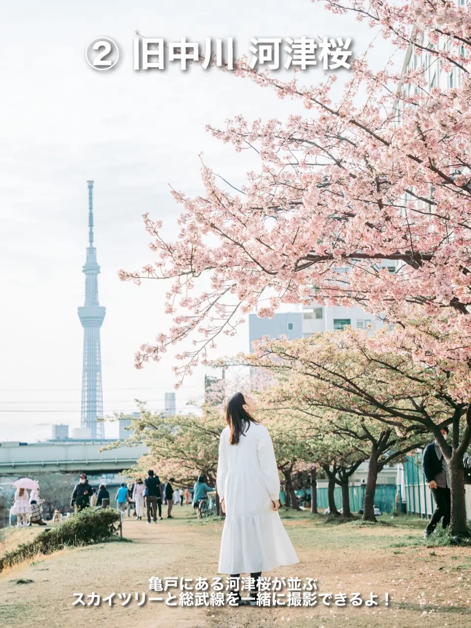 ソラマチ ムシムシ縁日 Lemon8