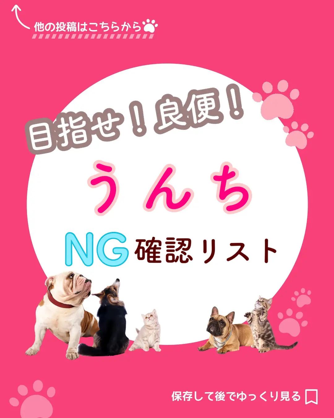 しちゃってない Ngうんち 宮本あかり 犬猫育てトレーナーが投稿したフォトブック Lemon8