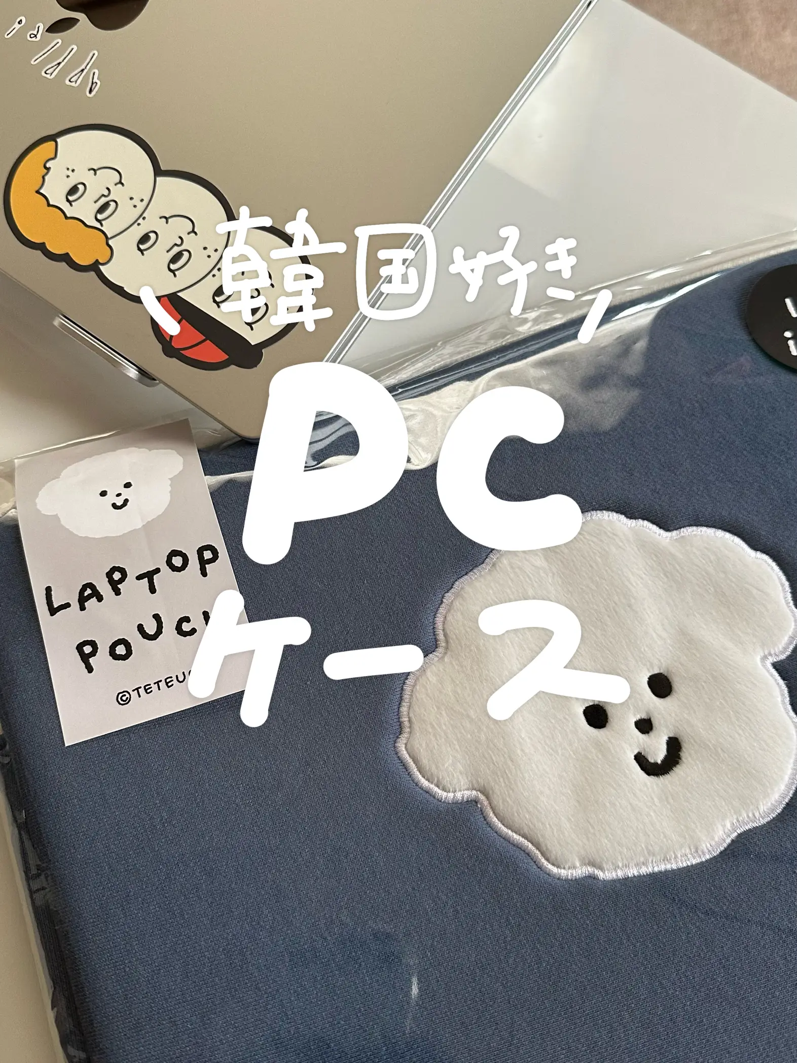 ˗ˋˏ 韓国雑貨　PCケース ˊˎ˗