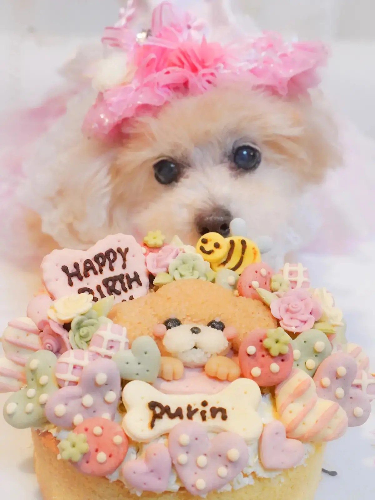 プリンたんのお誕生日ケーキ がそっくりすぎる プリッフィーが投稿したフォトブック Lemon8