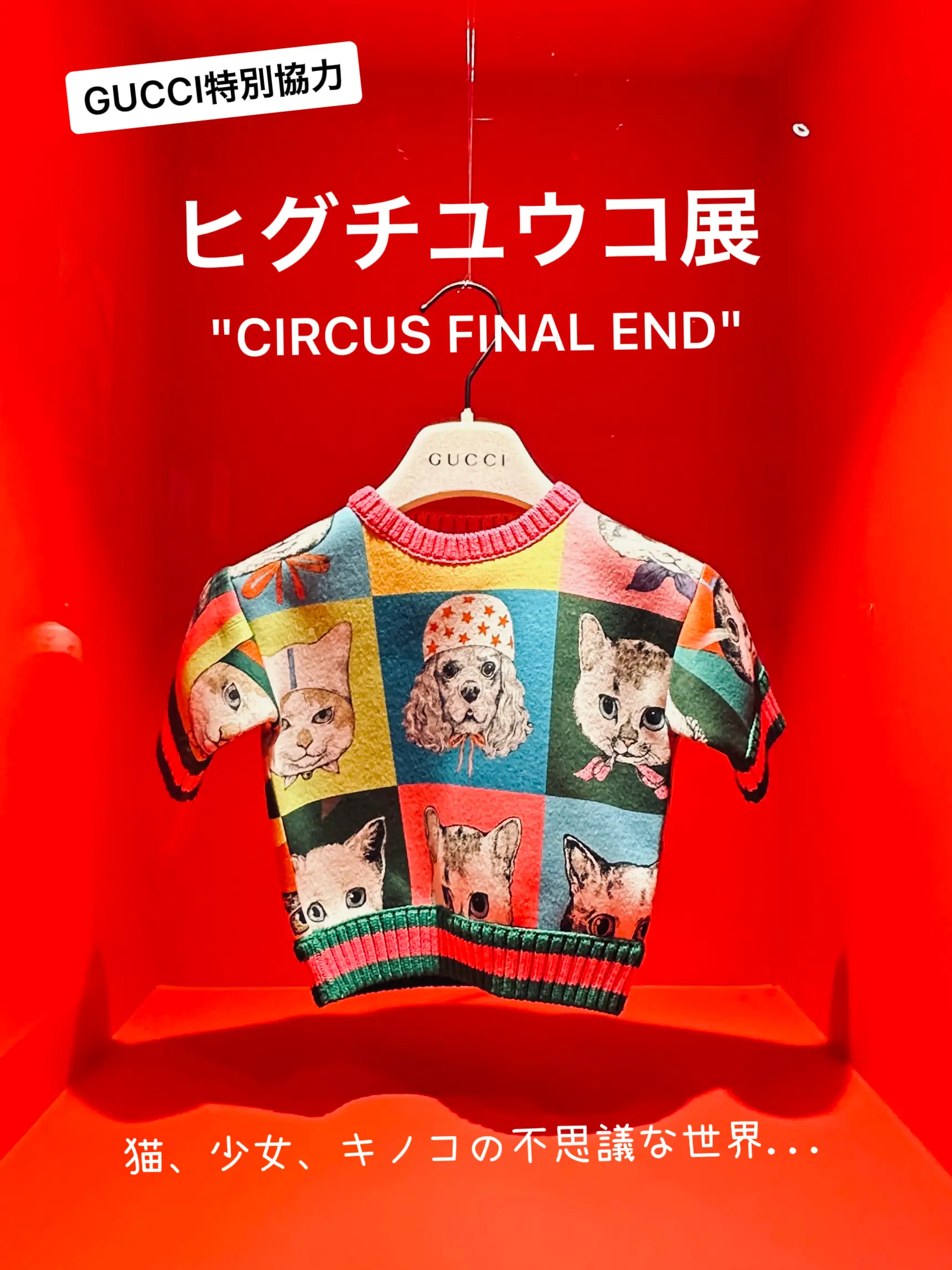 ヒグチユウコ展 circus Final end Tシャツ Mサイズ - daterightstuff.com