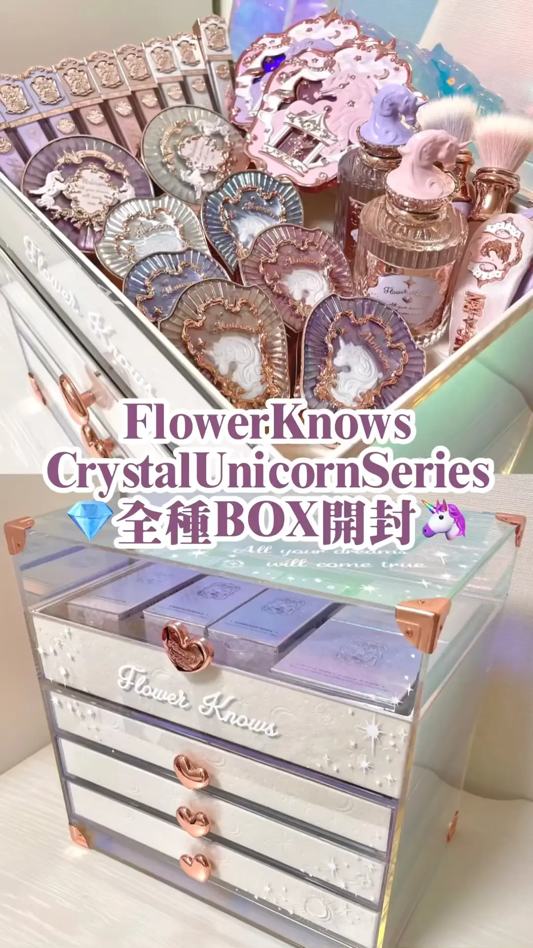 FlowerKnowsチョコレートシリーズ ALL in 全種フルボックス 人気カテゴリー
